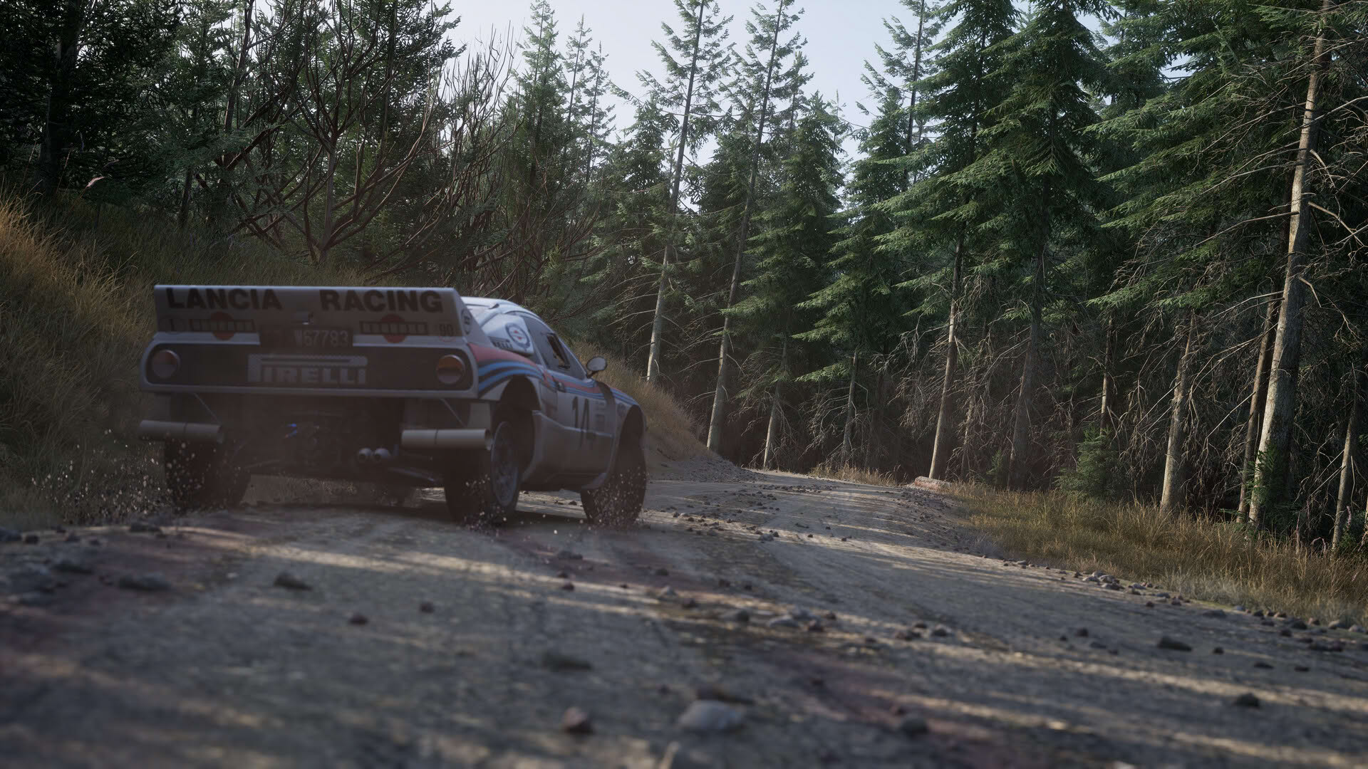 Screenshot for Assetto Corsa Rally