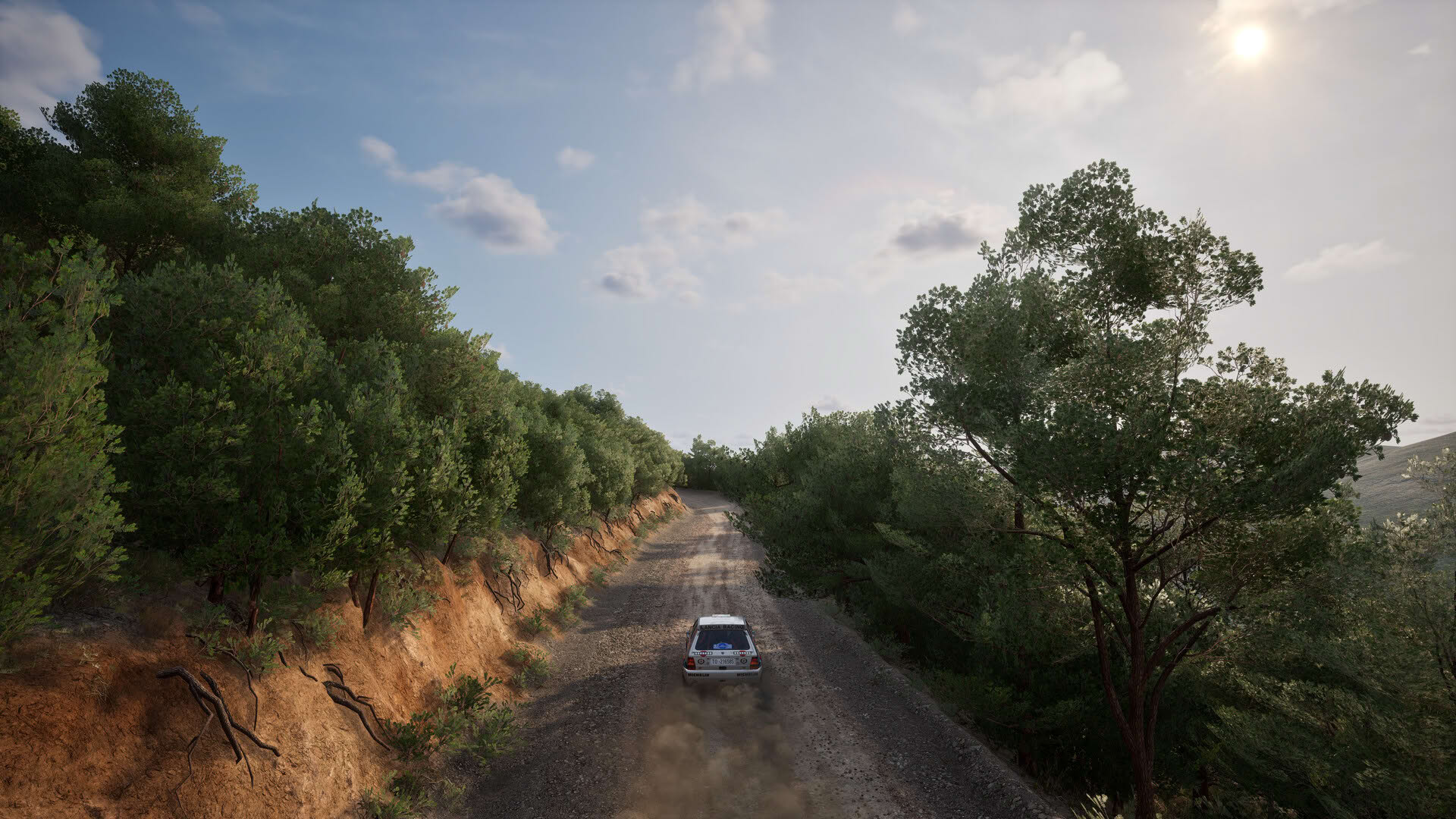 Screenshot for Assetto Corsa Rally