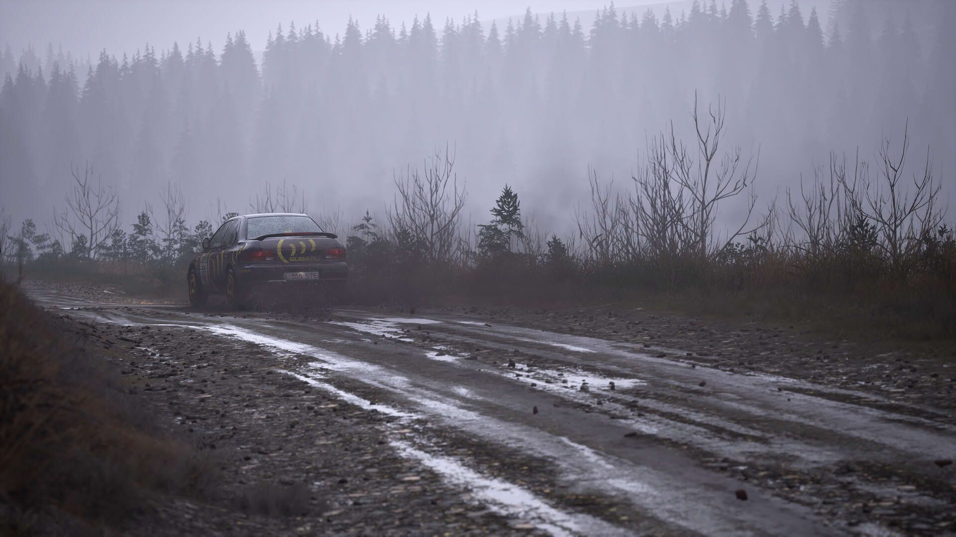 Screenshot for Assetto Corsa Rally