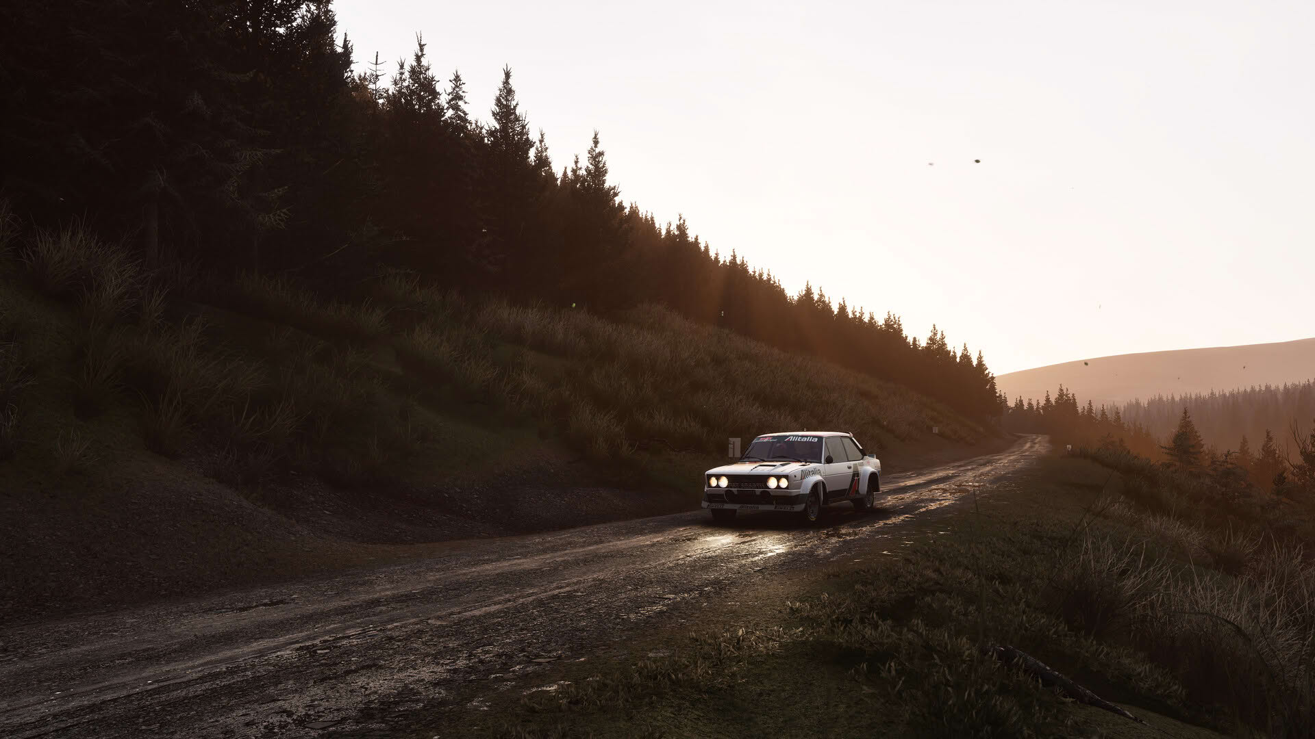 Screenshot for Assetto Corsa Rally