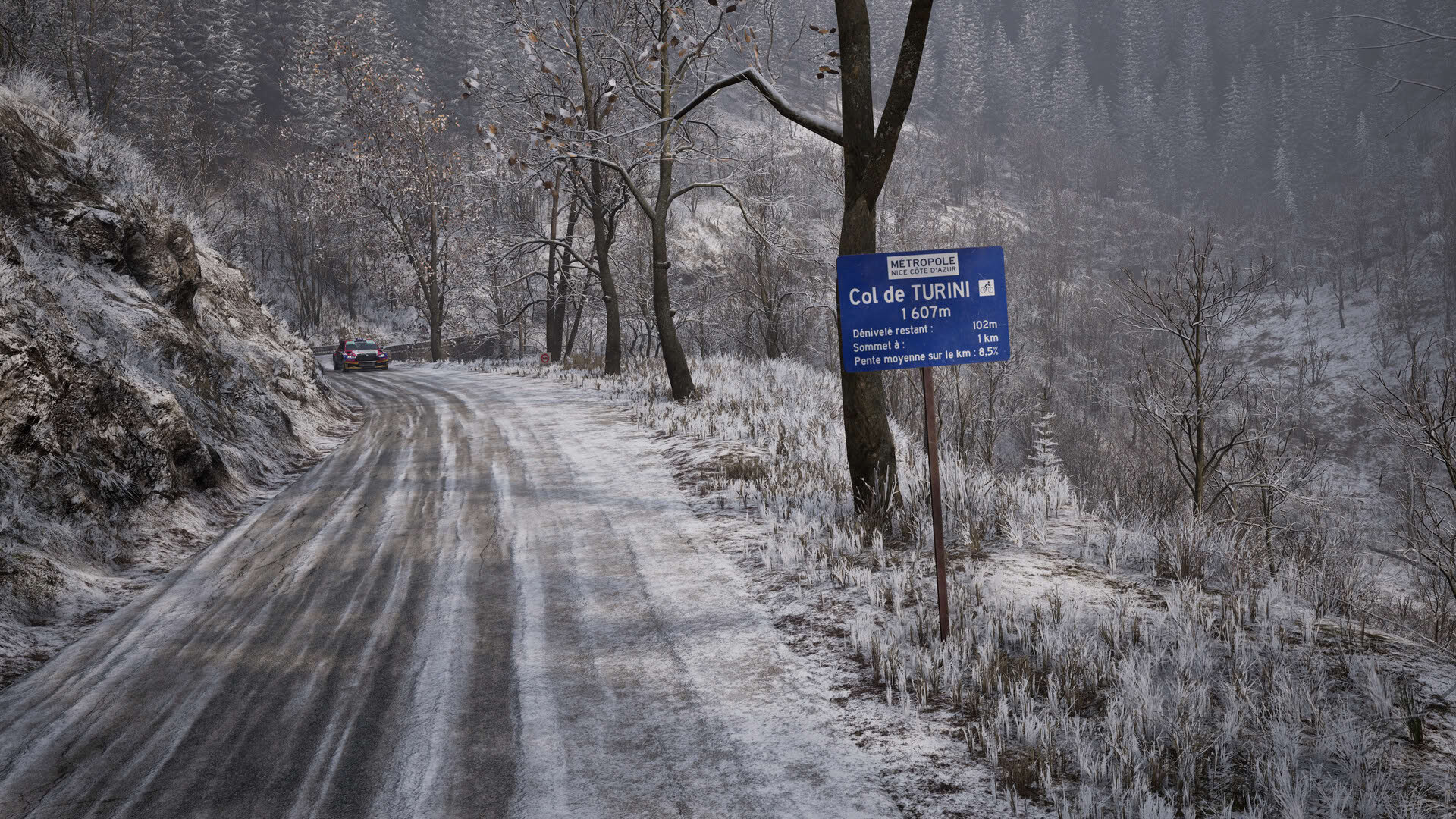 Screenshot for Assetto Corsa Rally