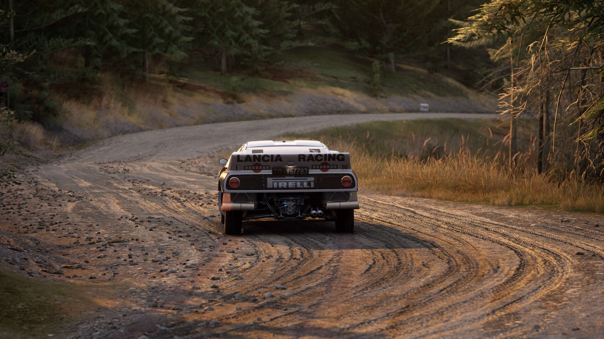 Screenshot for Assetto Corsa Rally
