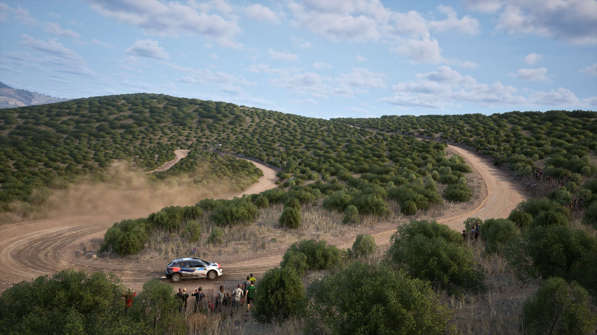 Screenshot for Assetto Corsa Rally