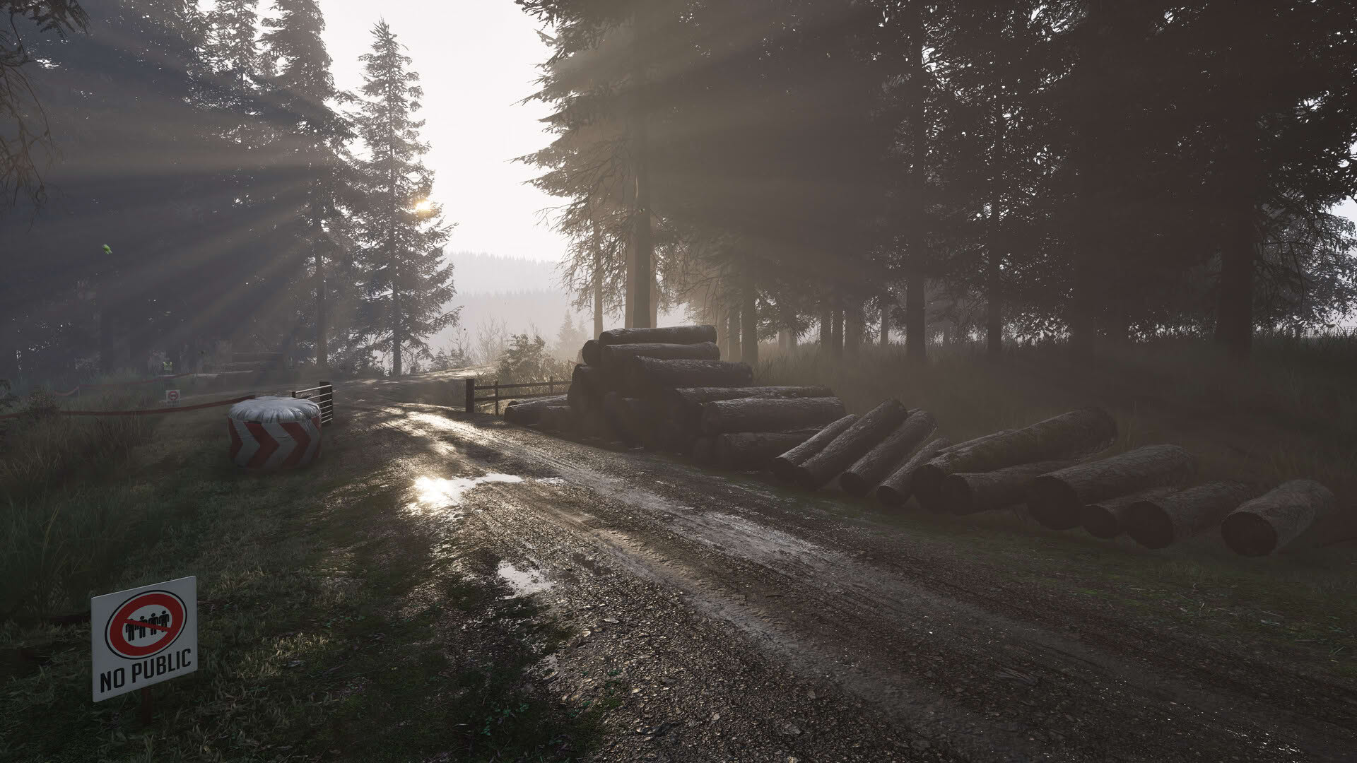 Screenshot for Assetto Corsa Rally