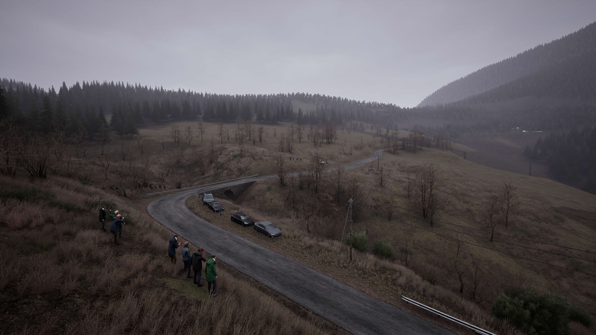 Screenshot for Assetto Corsa Rally
