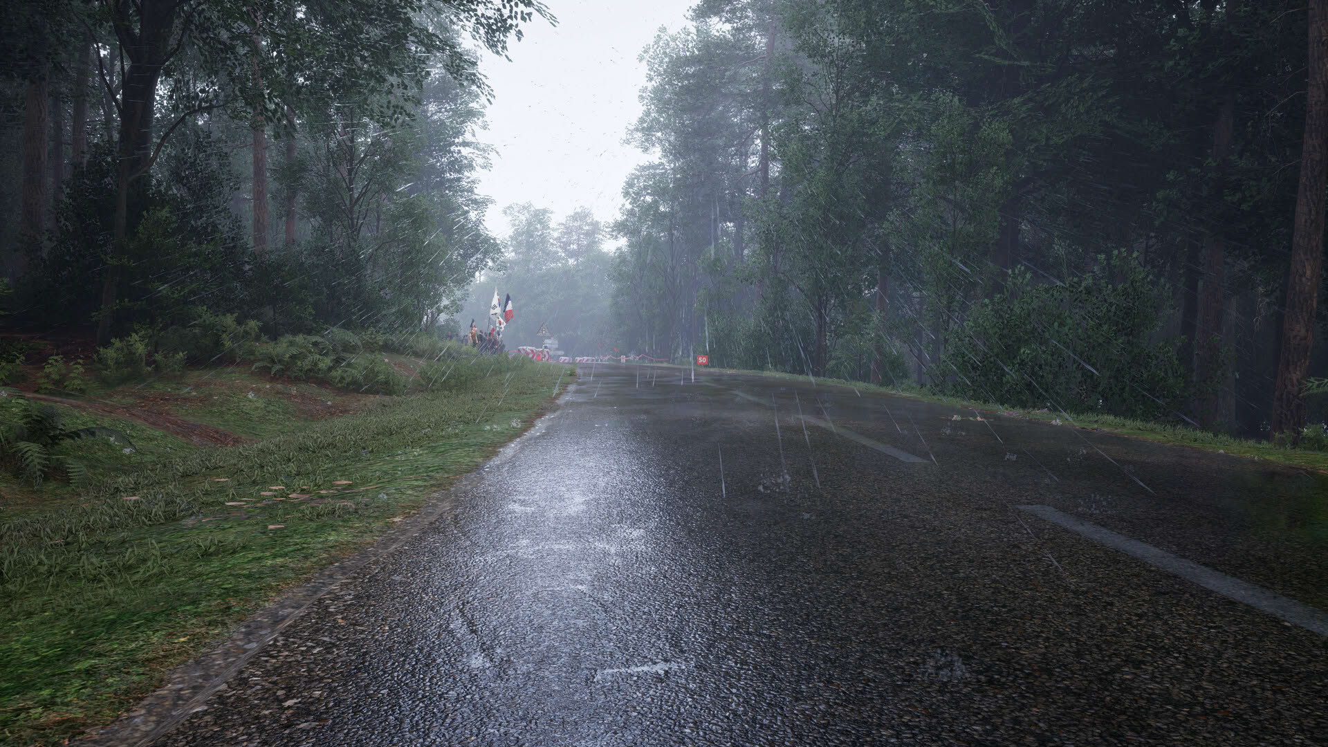 Screenshot for Assetto Corsa Rally