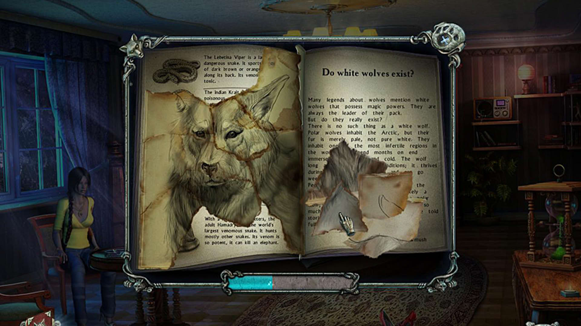Screenshot for Mountain Crime: Requital