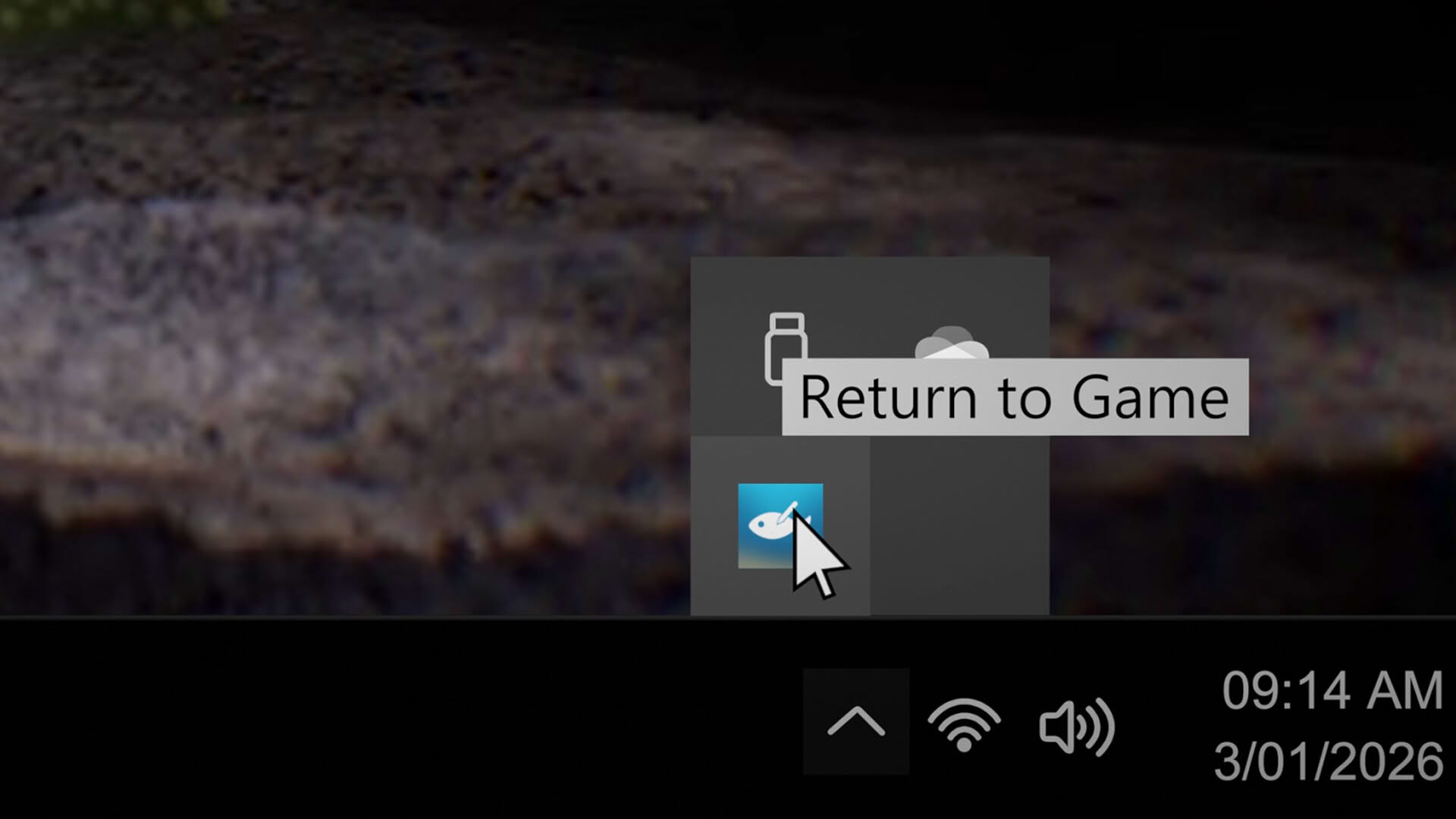 Screenshot for Drawquarium