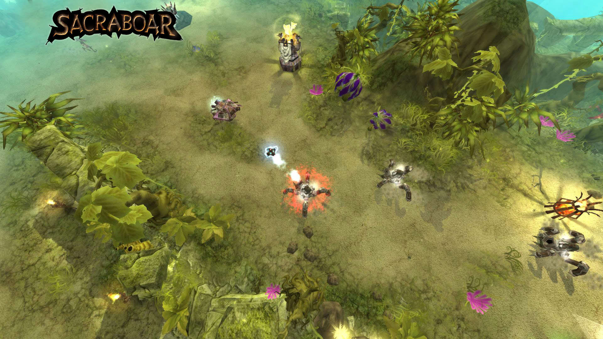 Screenshot for Sacraboar