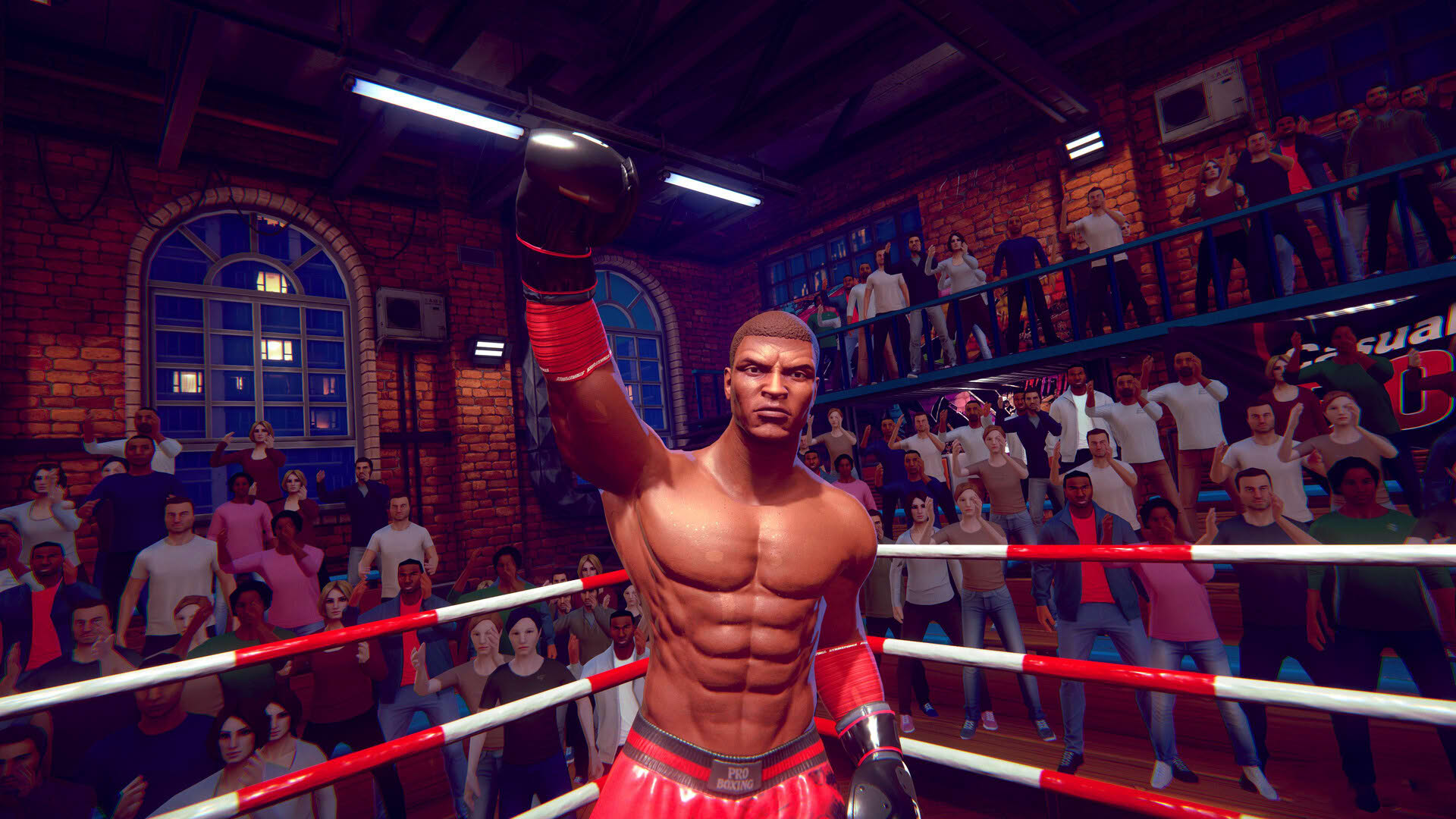 Screenshot for Casual Sport Series: Boxing