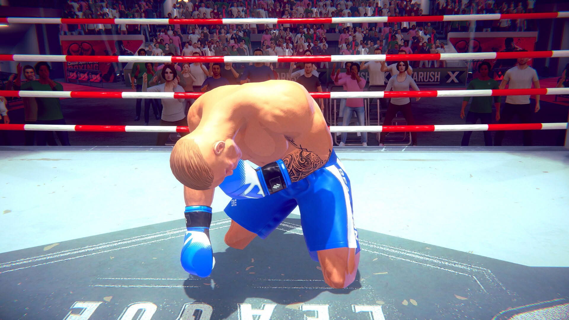 Screenshot for Casual Sport Series: Boxing