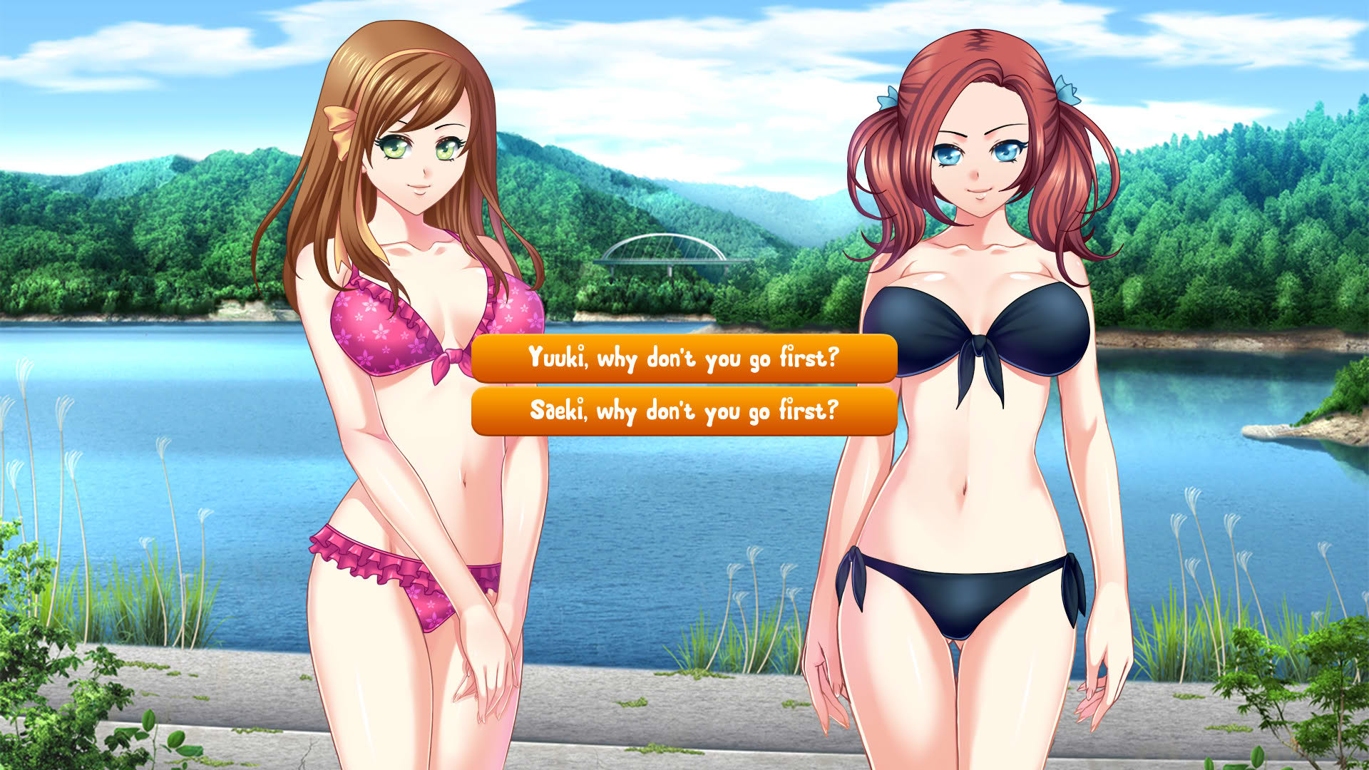 Screenshot for Summer Fling