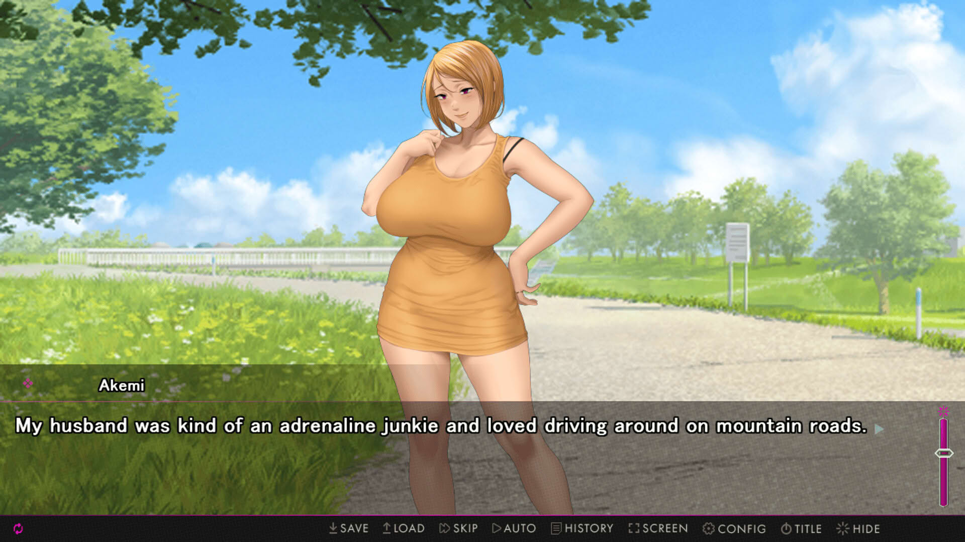 Screenshot for Afternoon Affairs & Helpless Housewives
