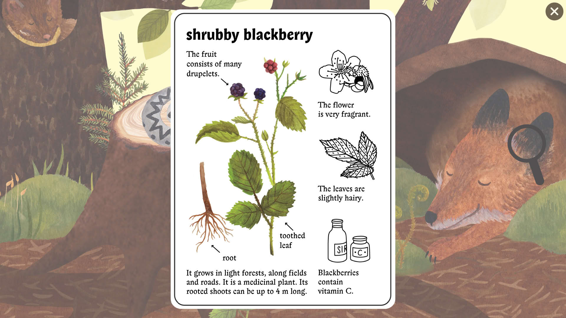 Screenshot for Little Mouse's Encyclopedia