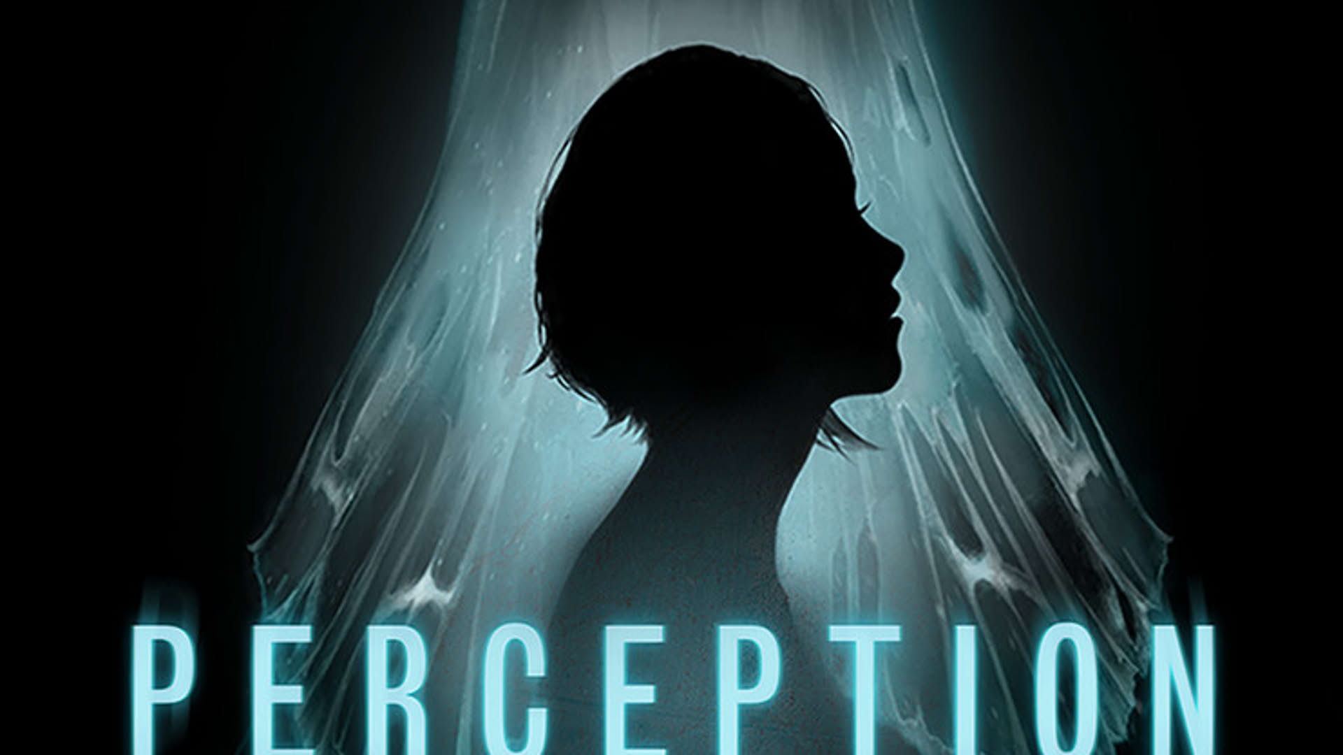 Screenshot for Perception