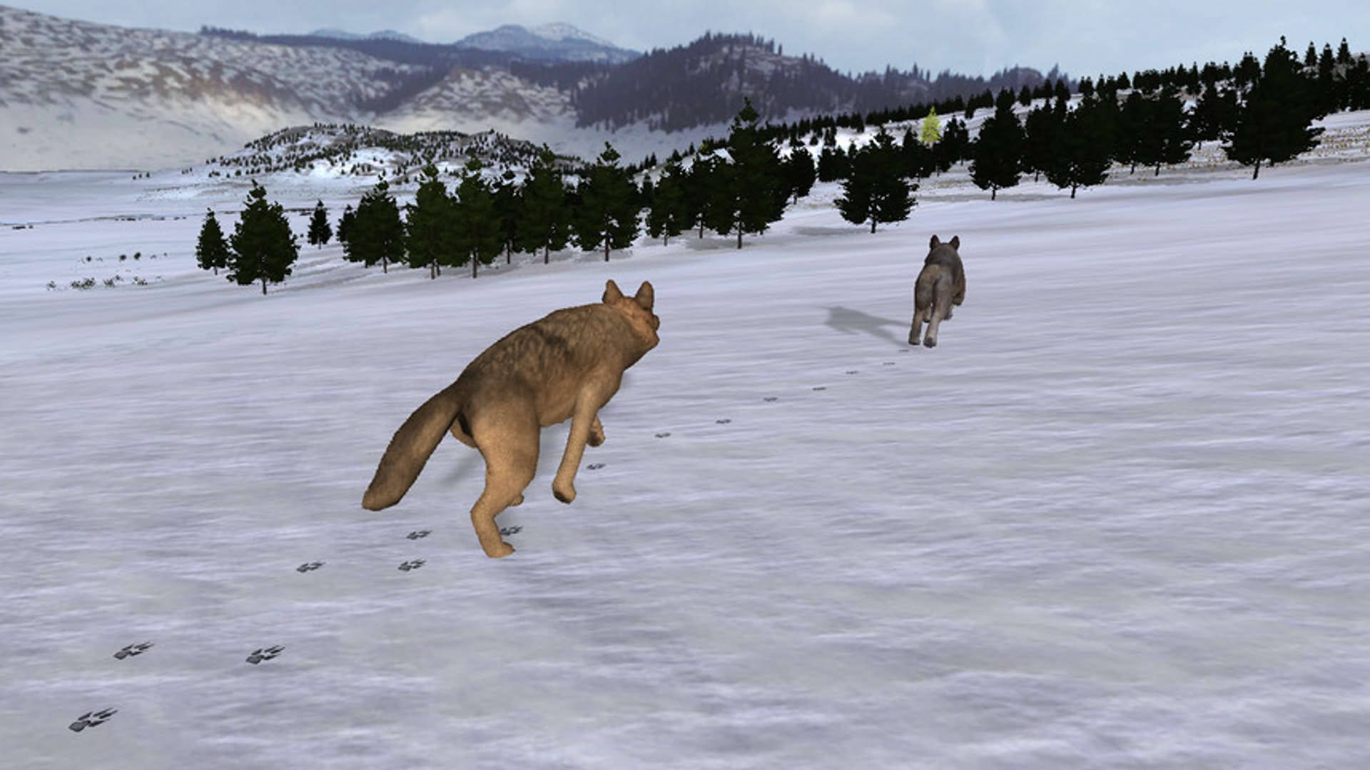 Screenshot for WolfQuest