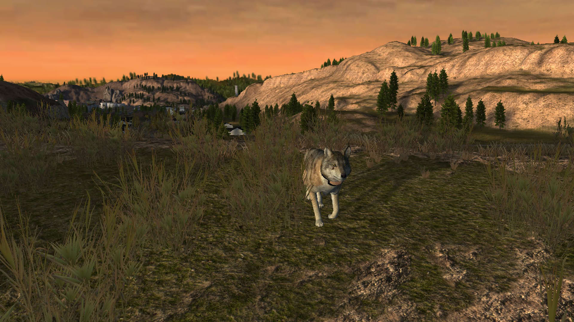Screenshot for WolfQuest