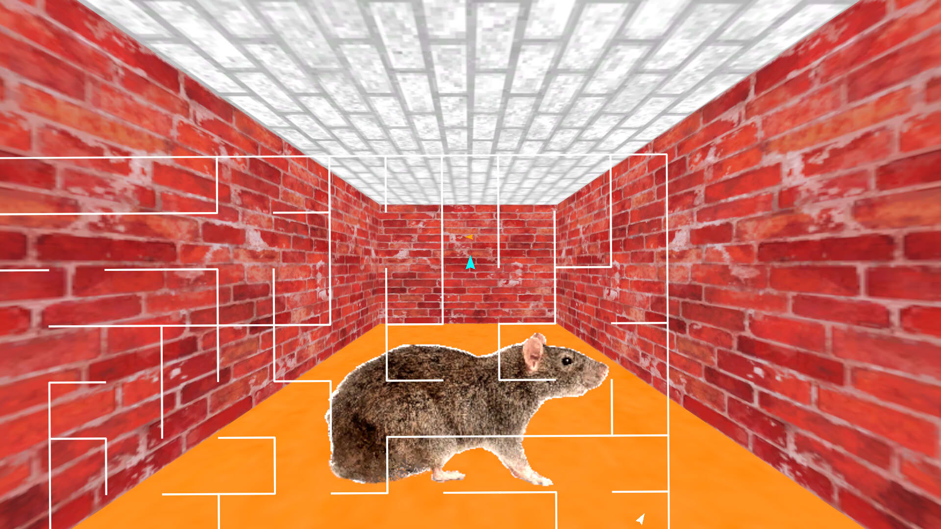 Screenshot for Maze 95 Ultimate