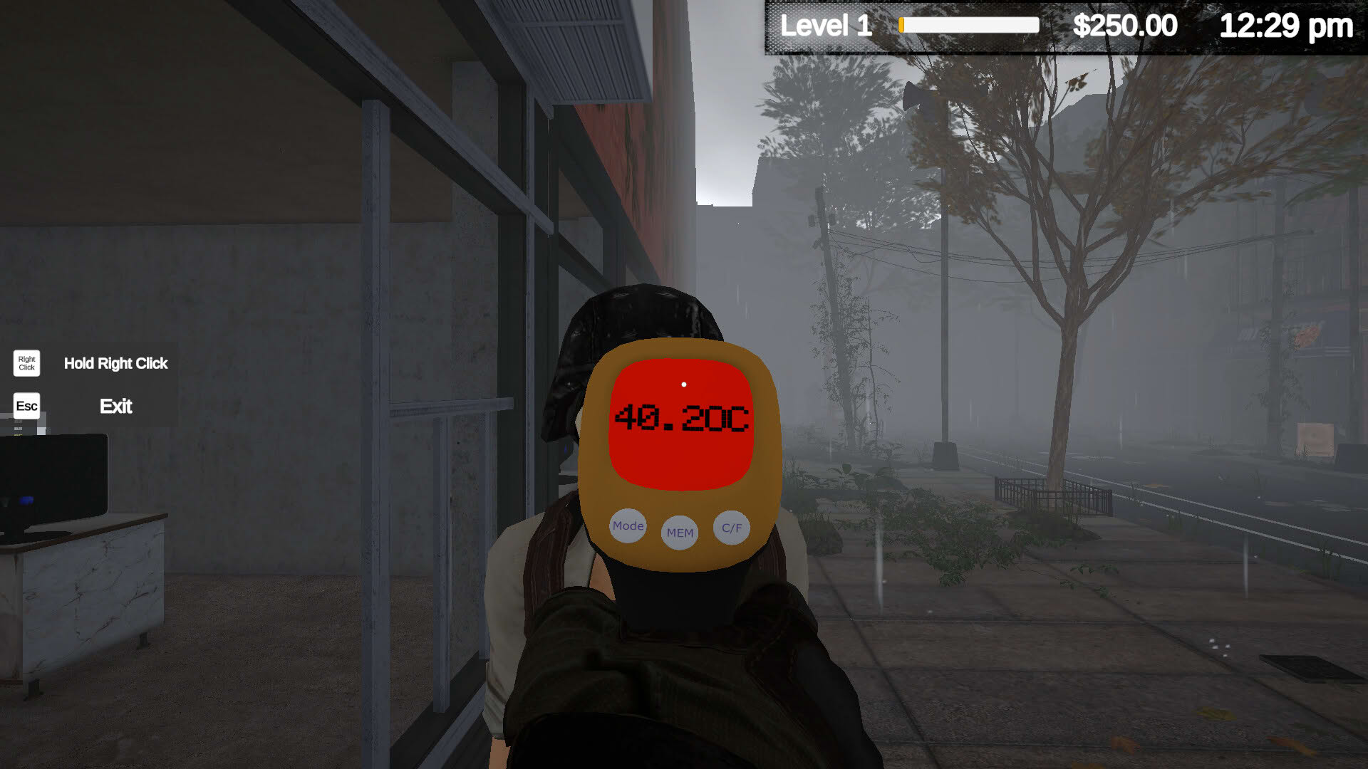 Screenshot for Quarantine Market Simulator