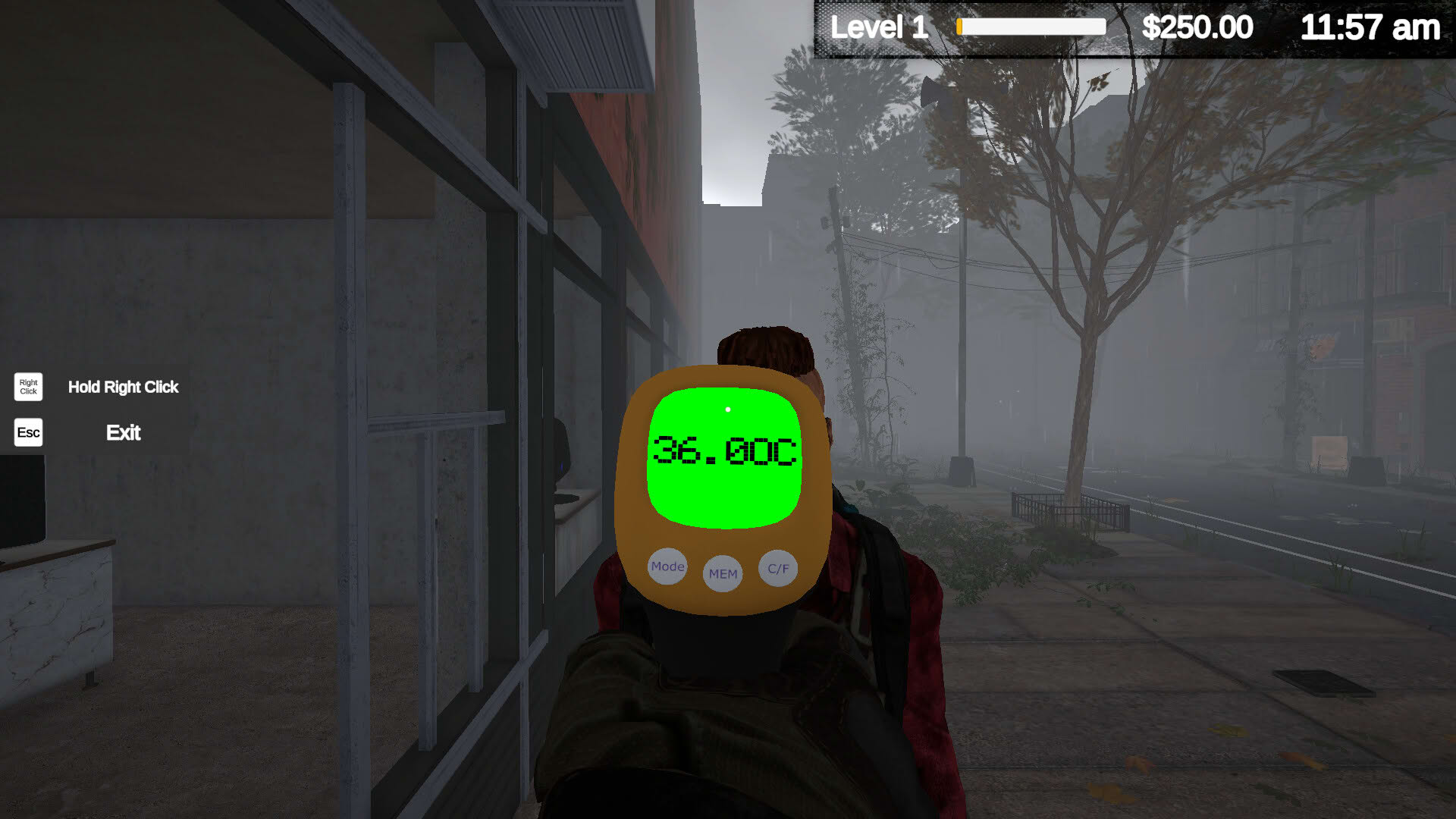 Screenshot for Quarantine Market Simulator