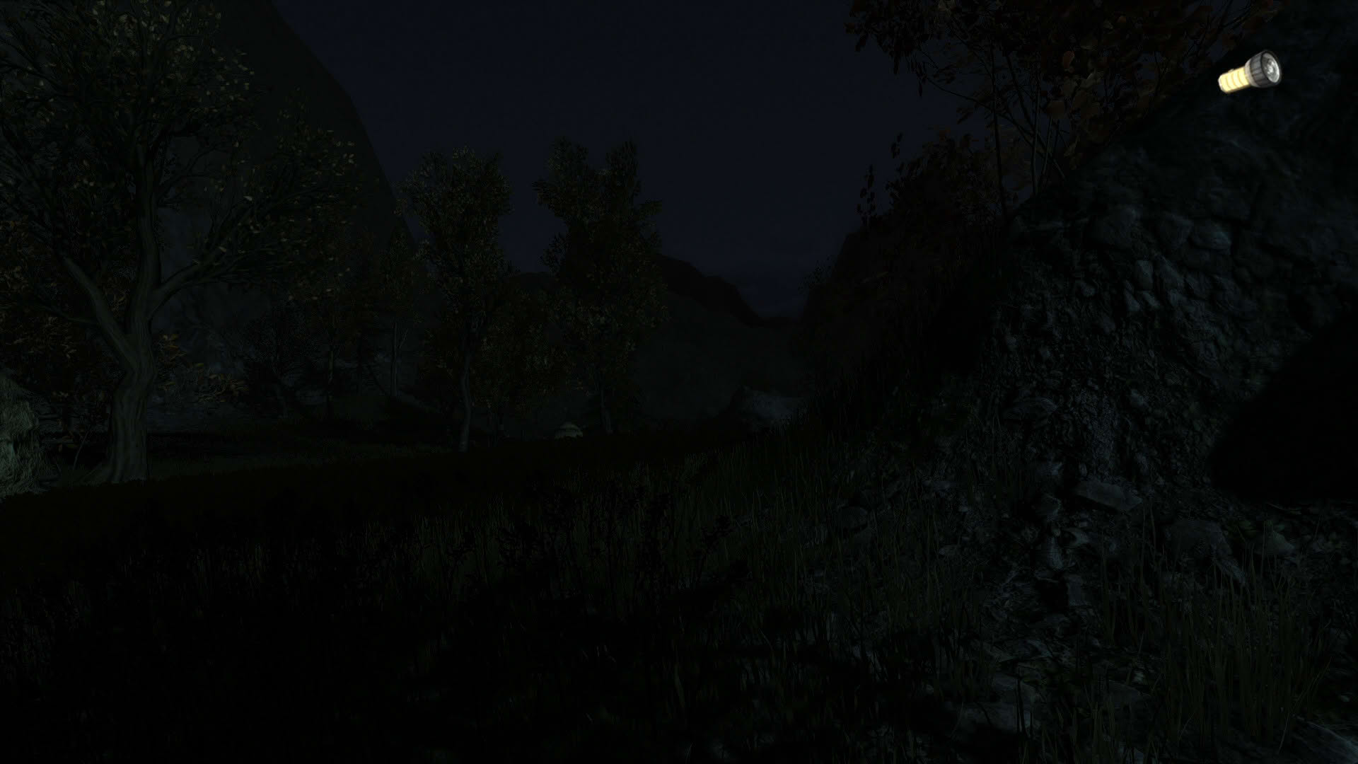 Screenshot for The Secret of Pineview Forest