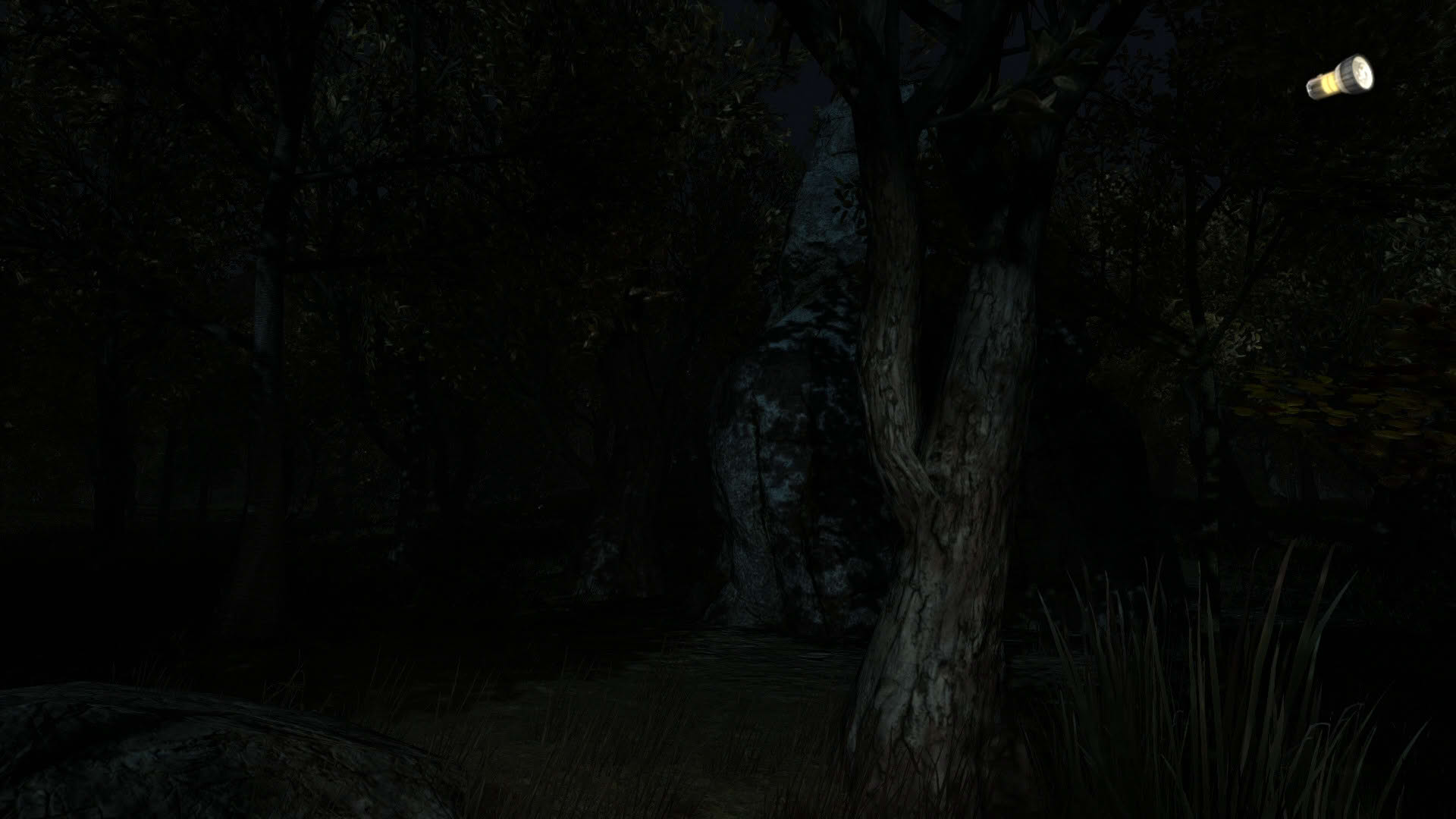 Screenshot for The Secret of Pineview Forest