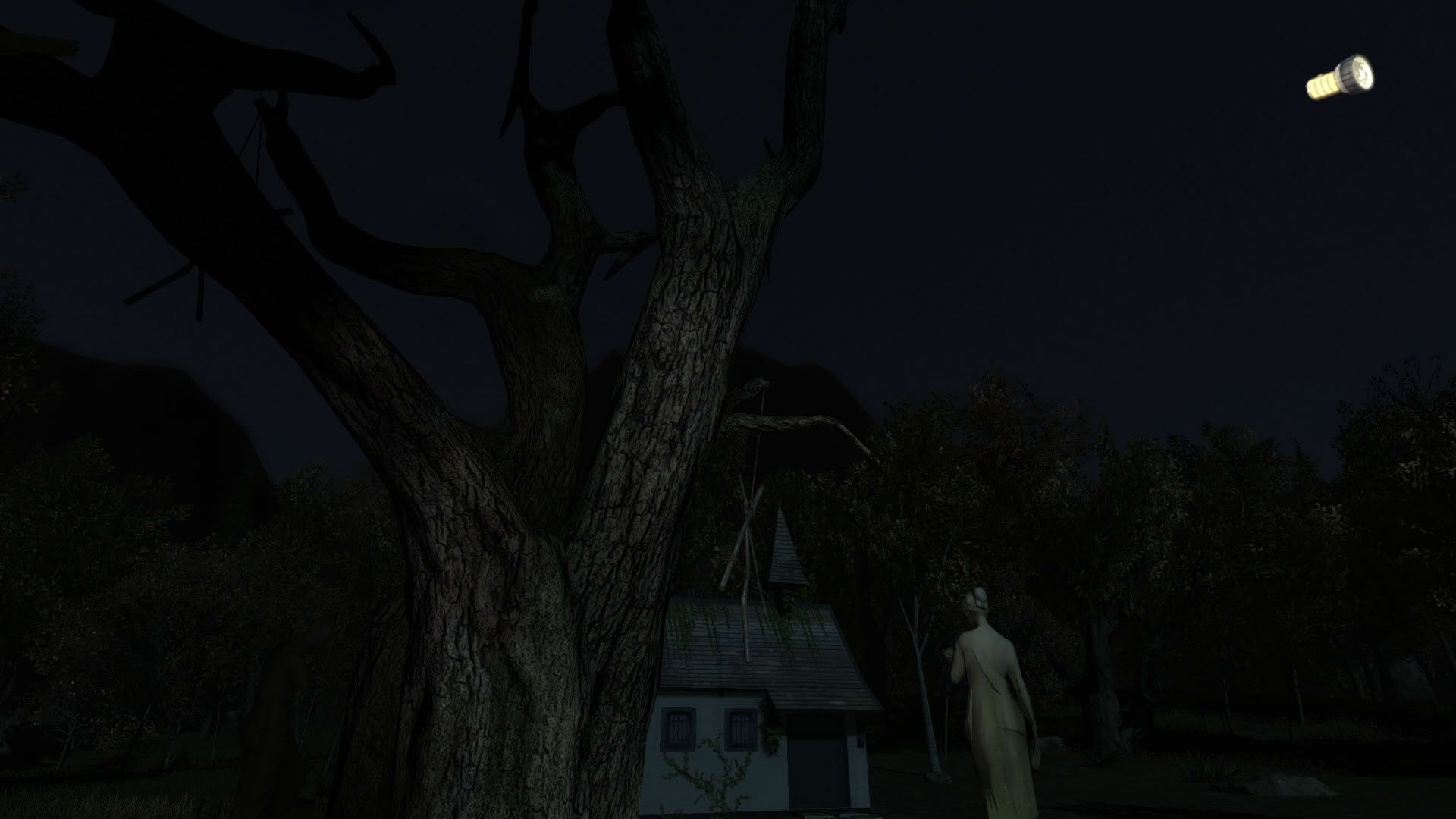 Screenshot for The Secret of Pineview Forest