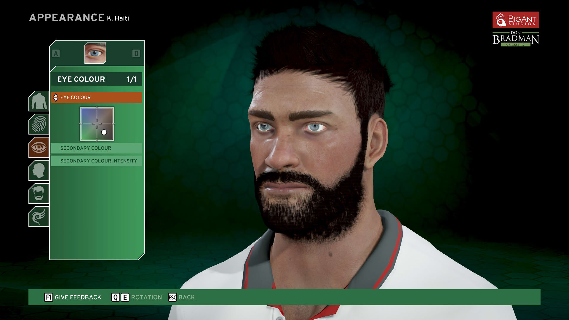 Screenshot for Don Bradman Cricket 17