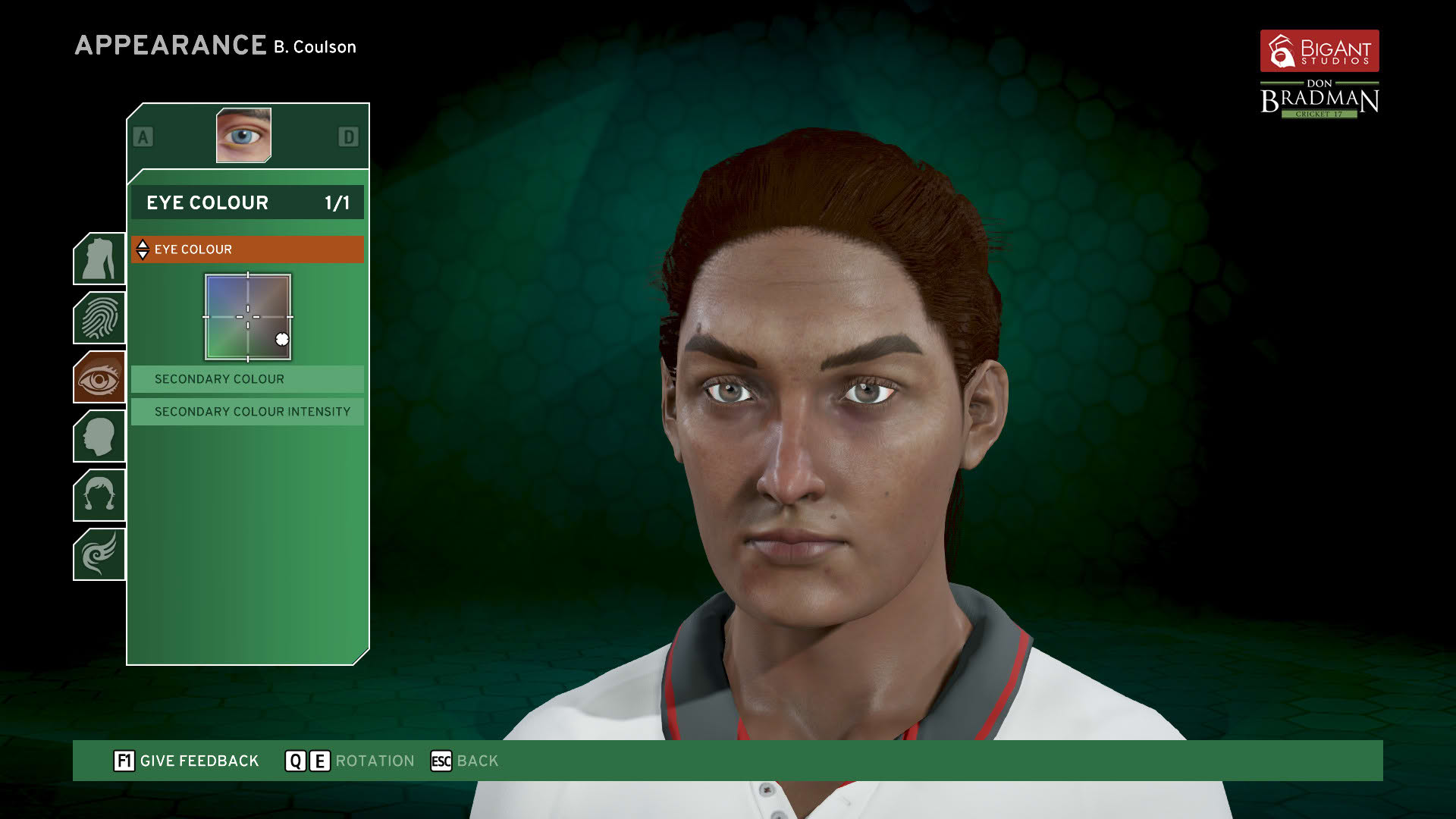 Screenshot for Don Bradman Cricket 17