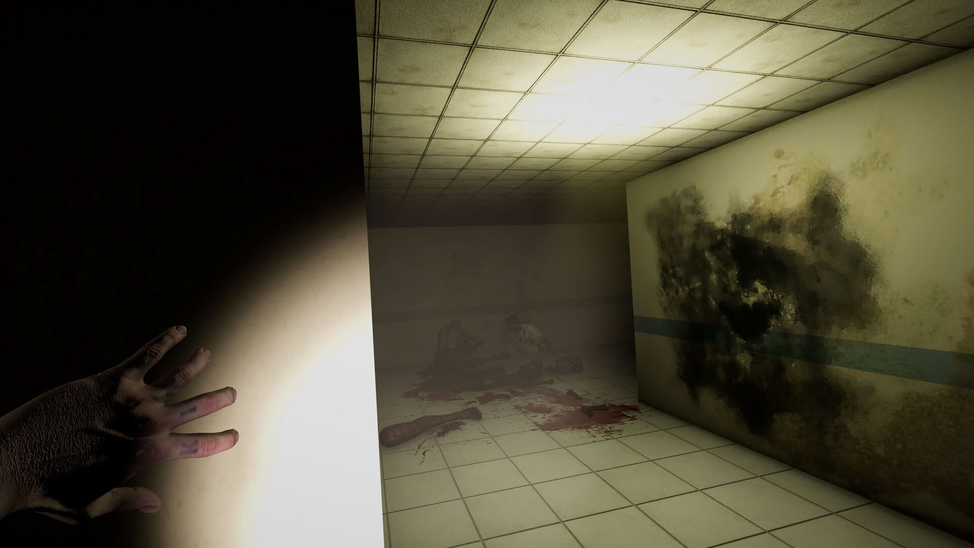 Screenshot for The Lifeline