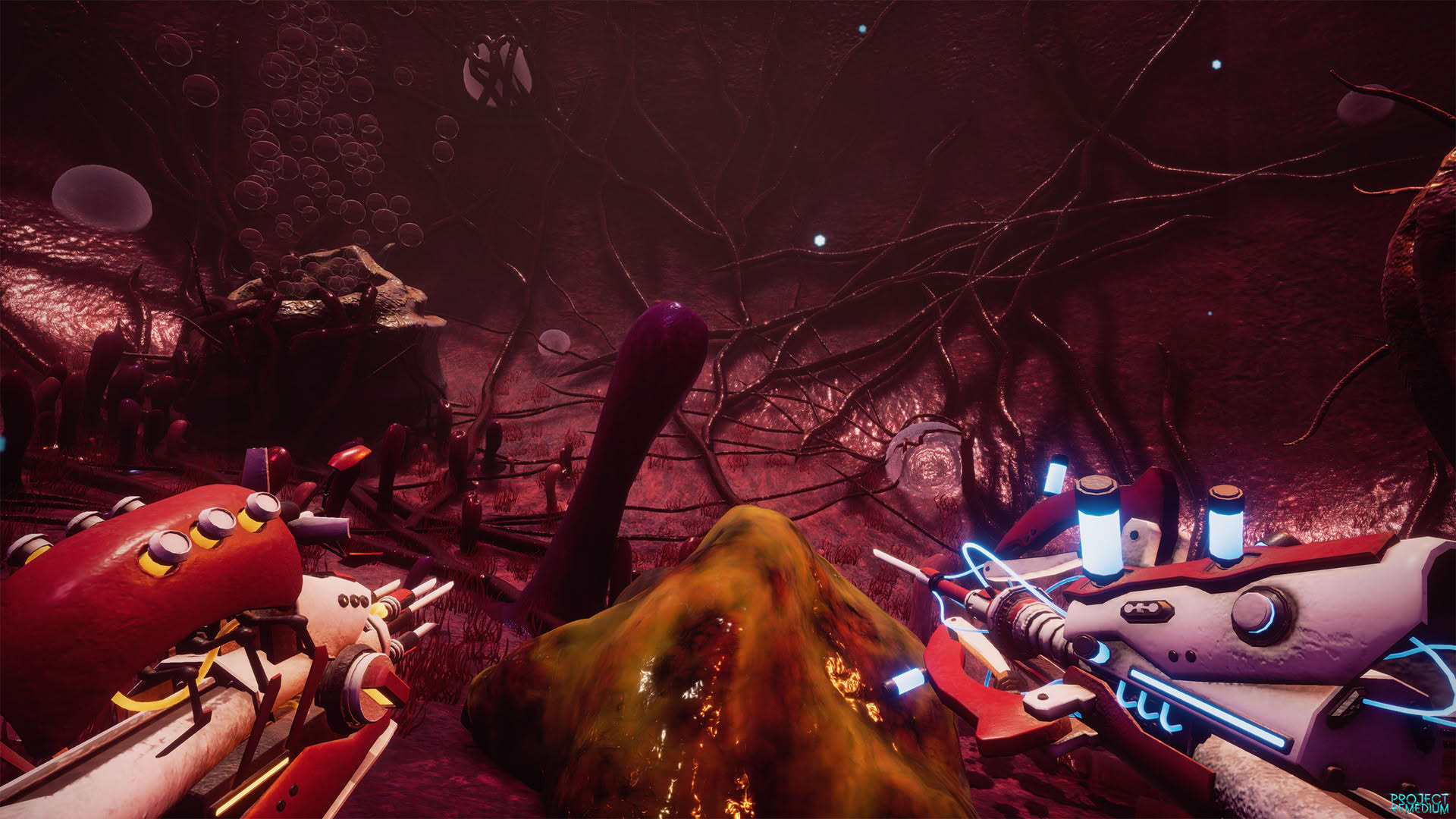 Screenshot for Project Remedium