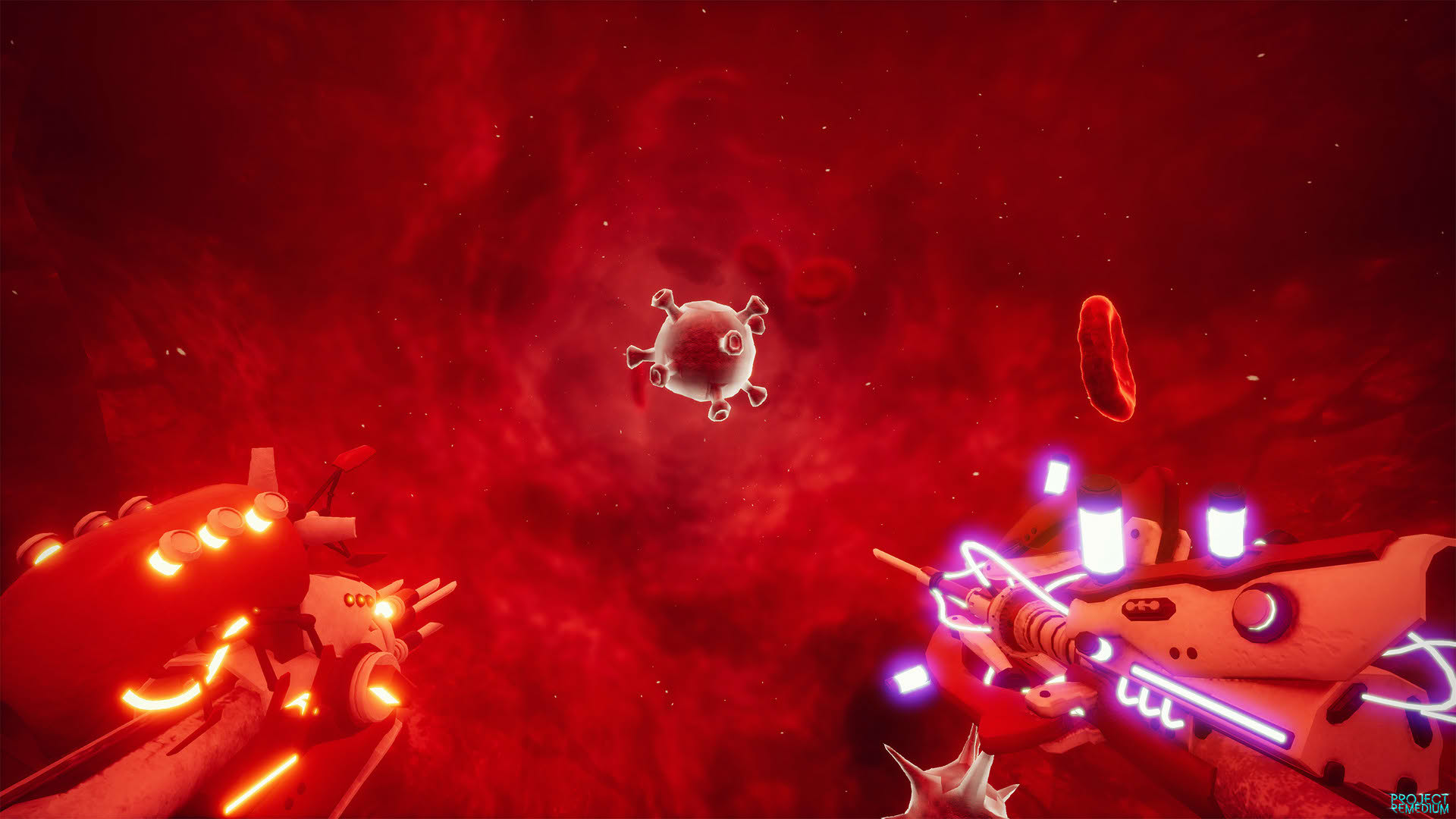 Screenshot for Project Remedium