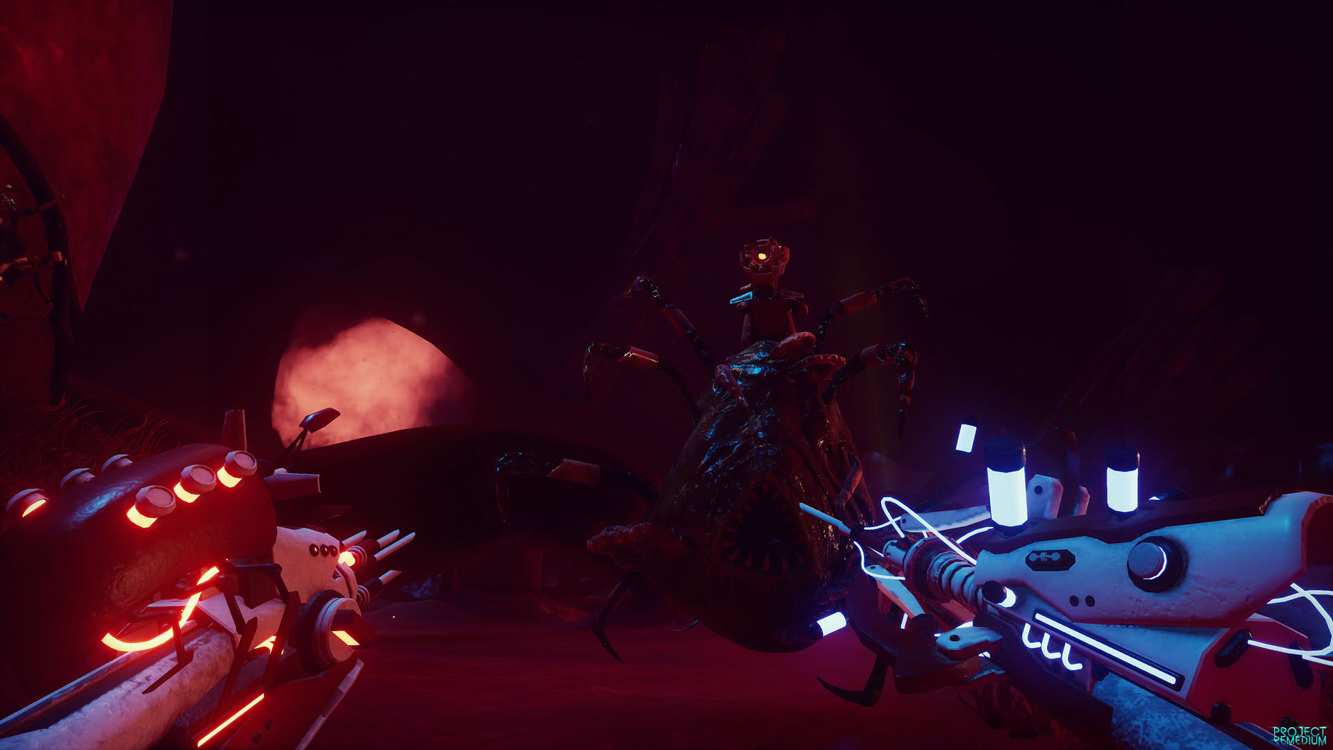 Screenshot for Project Remedium