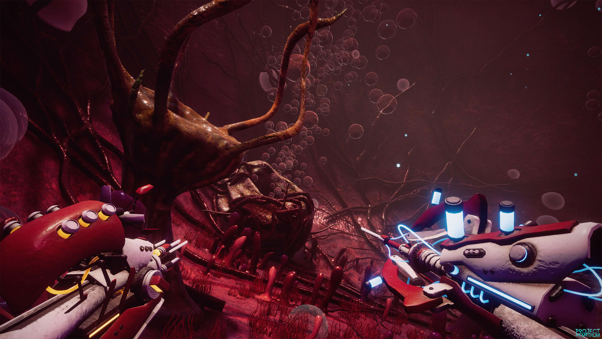Screenshot for Project Remedium