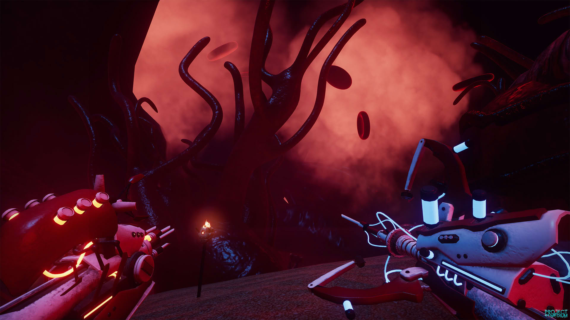 Screenshot for Project Remedium