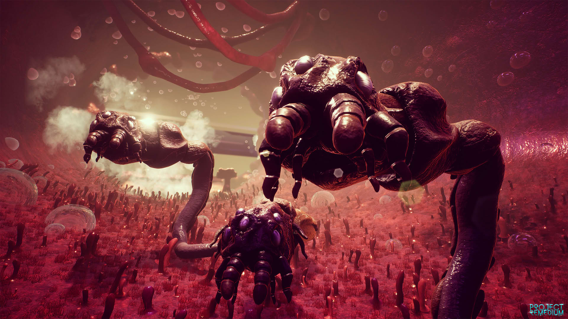 Screenshot for Project Remedium