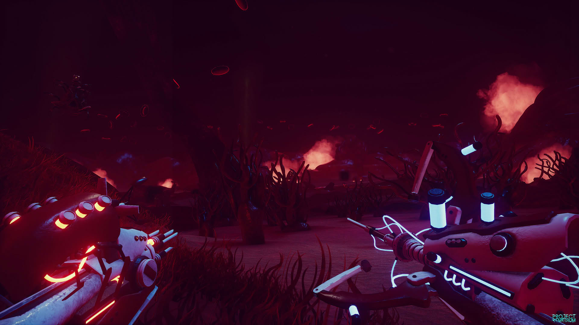 Screenshot for Project Remedium