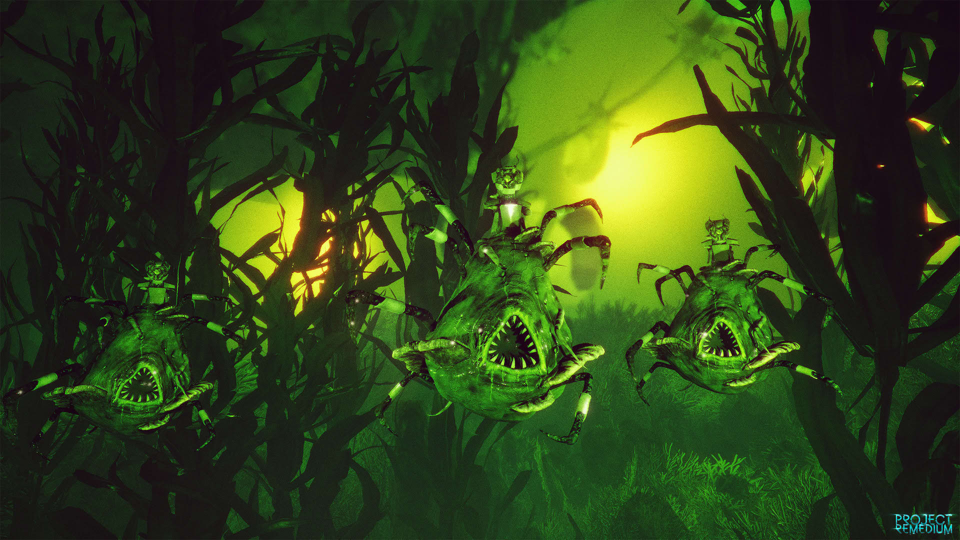Screenshot for Project Remedium