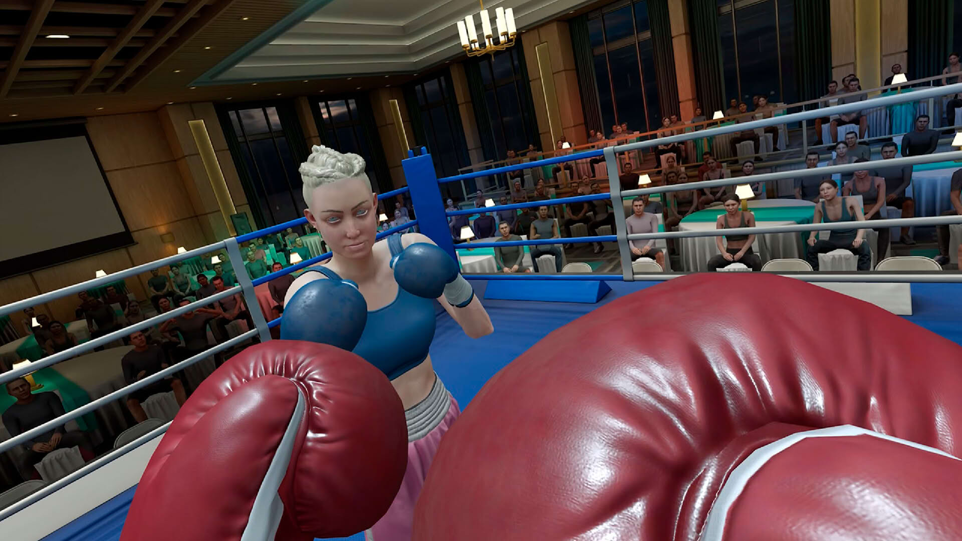 Screenshot for The Thrill of the Fight 2