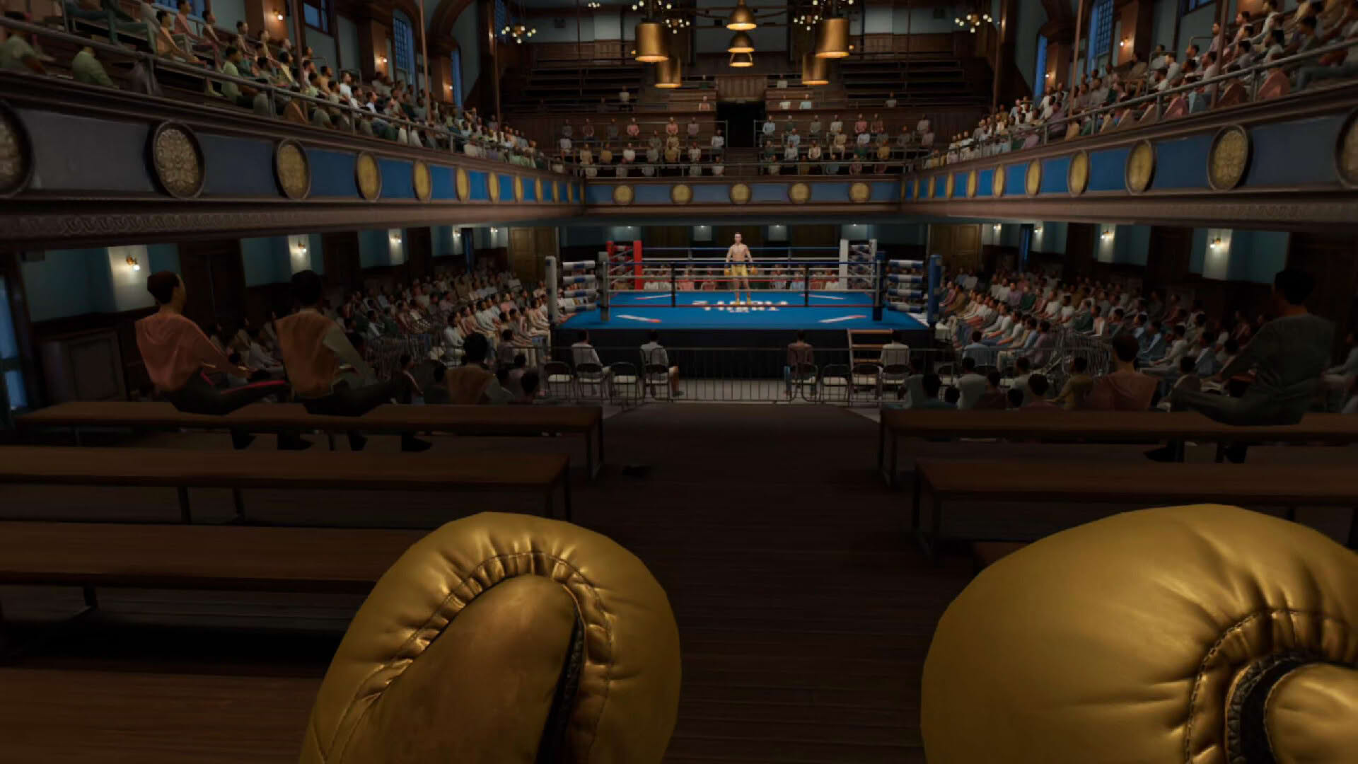 Screenshot for The Thrill of the Fight 2