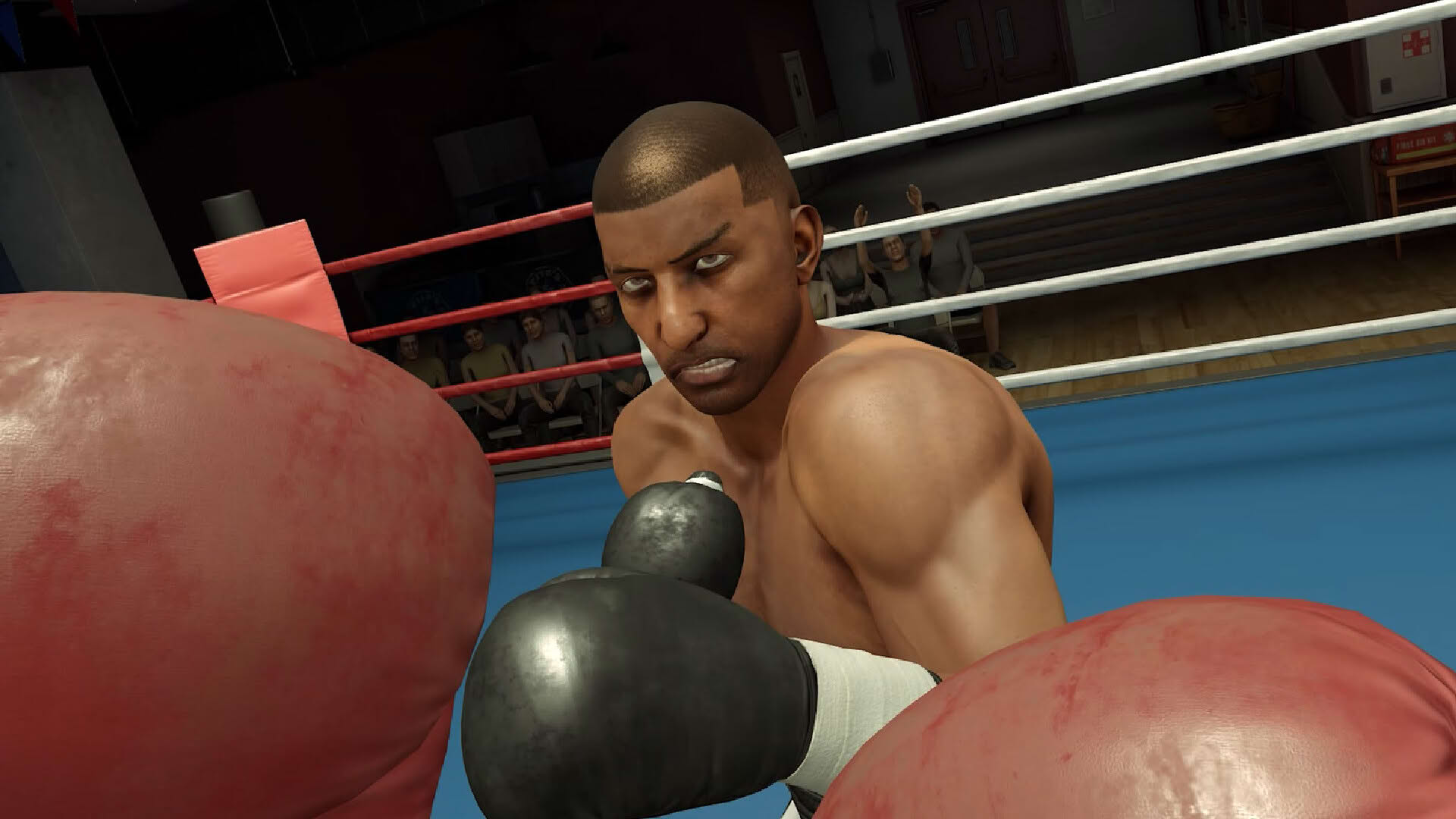 Screenshot for The Thrill of the Fight 2