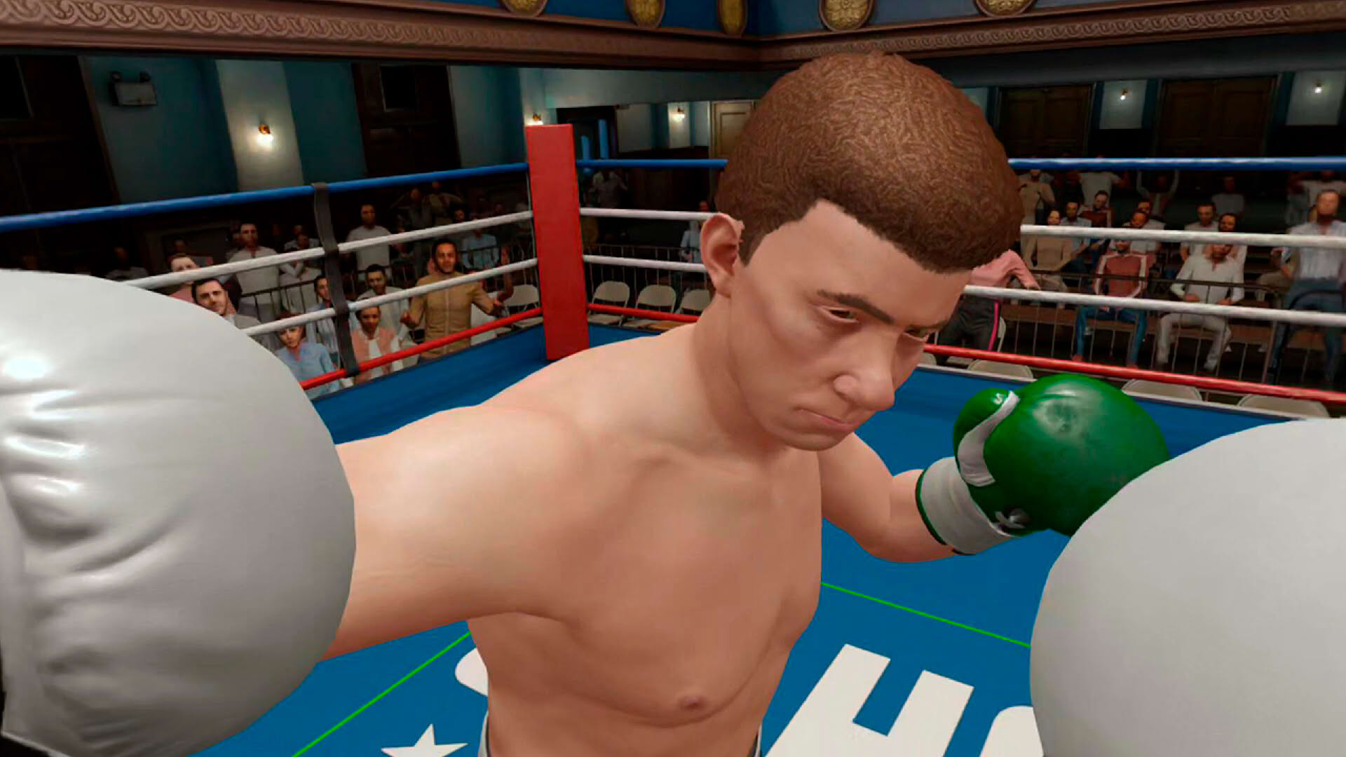 Screenshot for The Thrill of the Fight 2