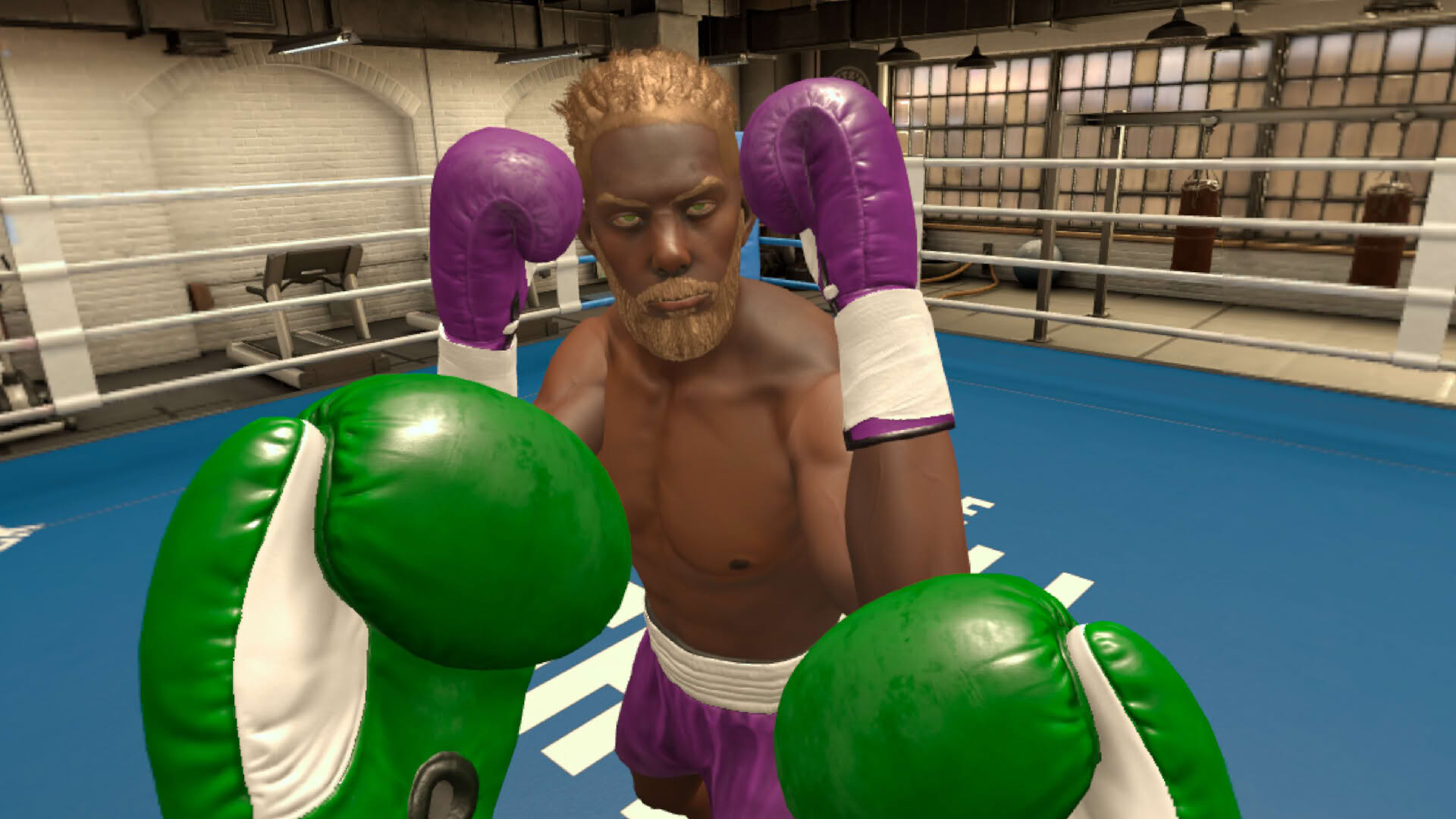 Screenshot for The Thrill of the Fight 2