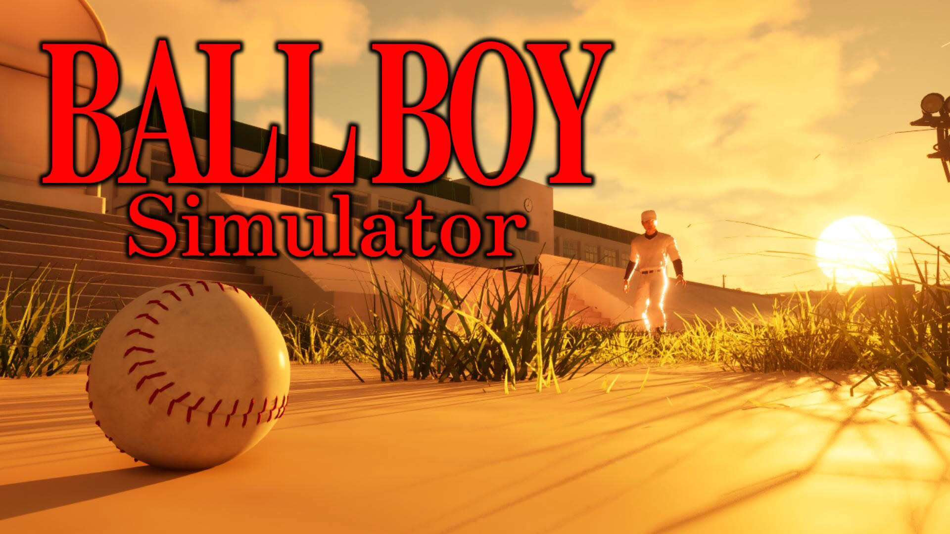Screenshot for Ball Boy Simulator