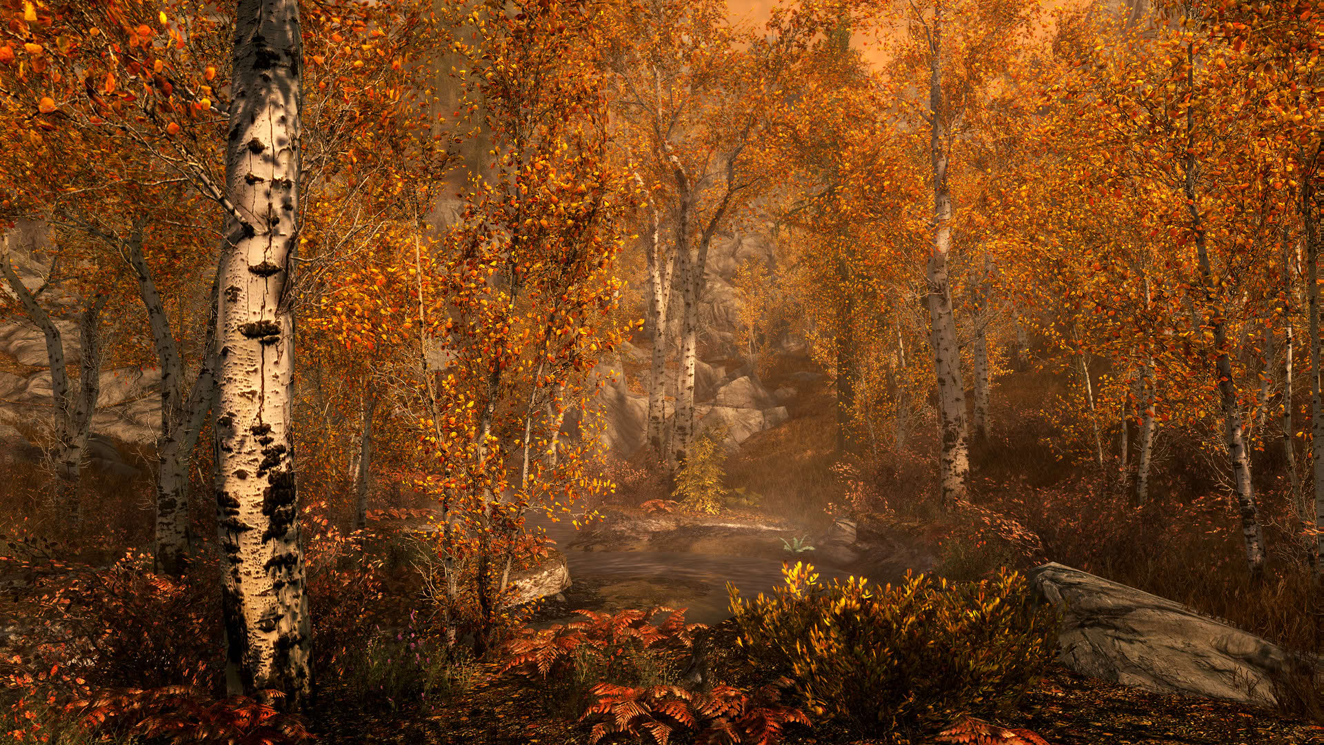 Screenshot for The Elder Scrolls V: Skyrim - Special Edition