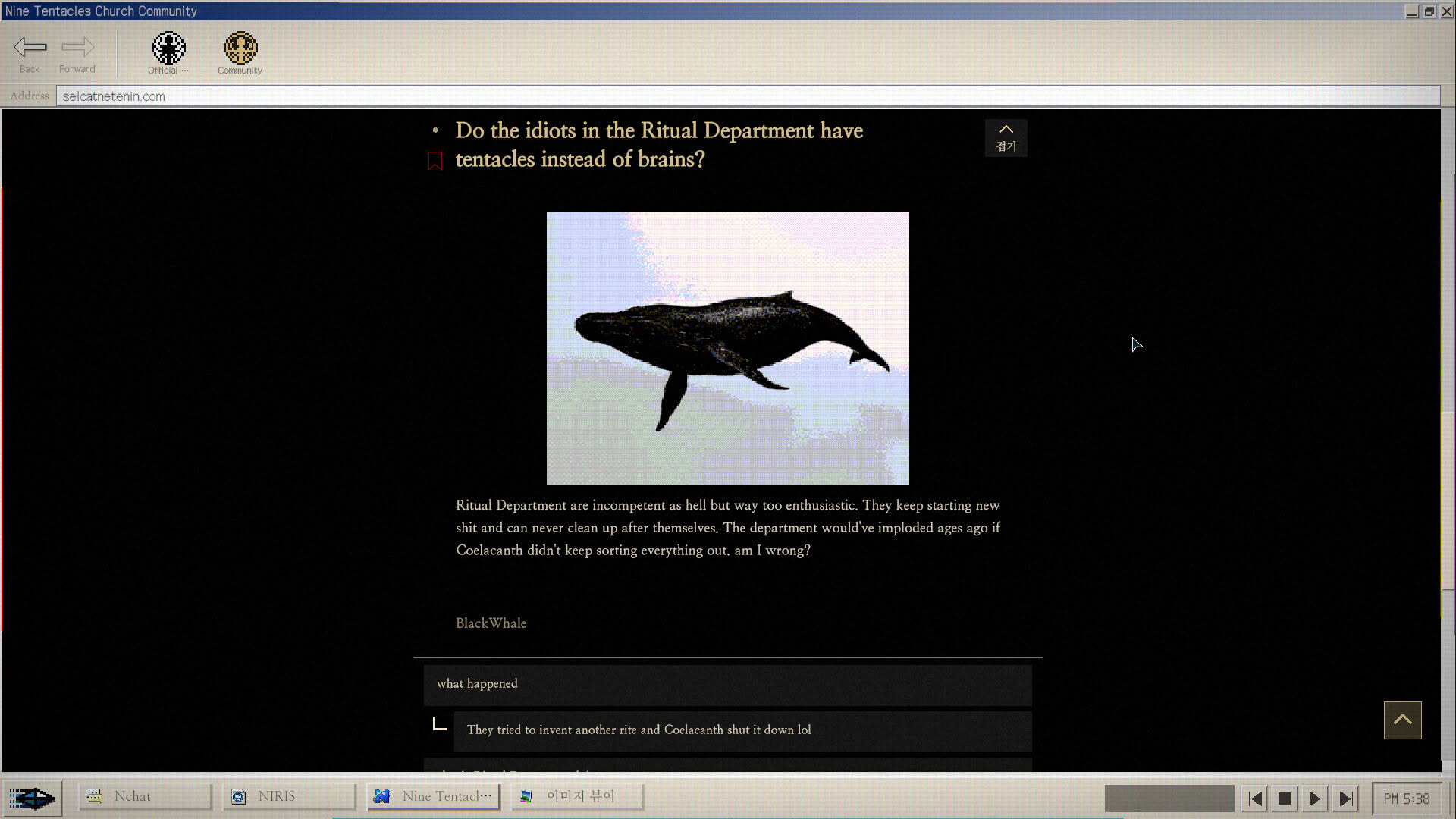 Screenshot for No Results Found