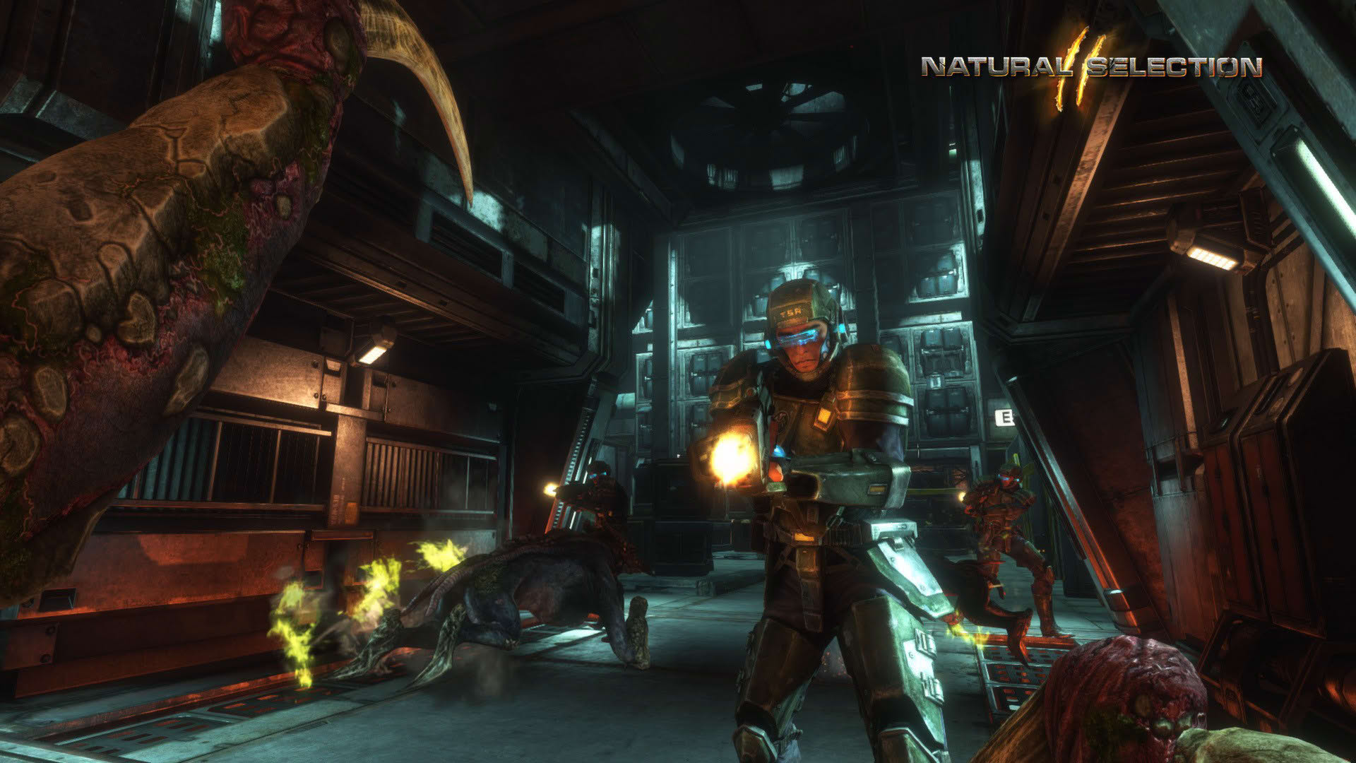 Screenshot for Natural Selection 2