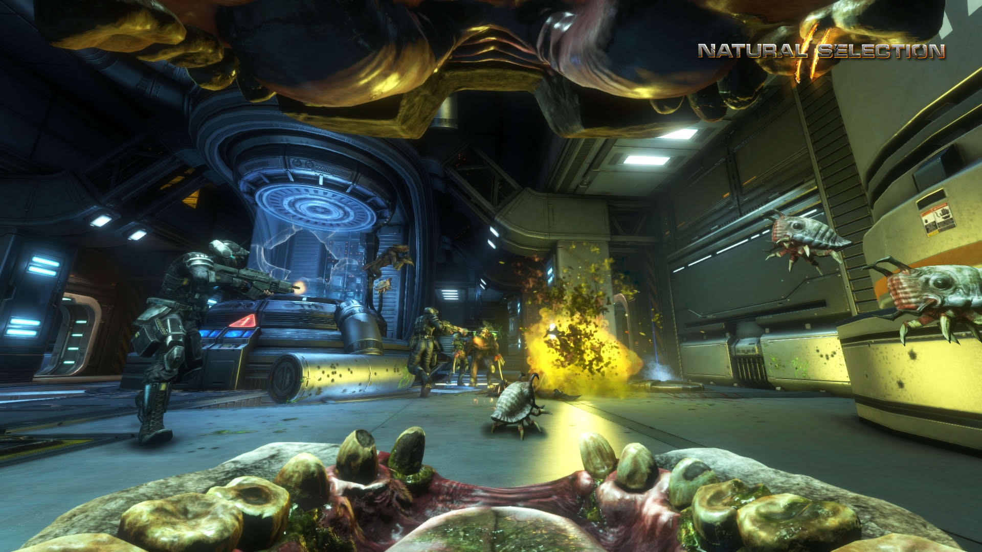 Screenshot for Natural Selection 2