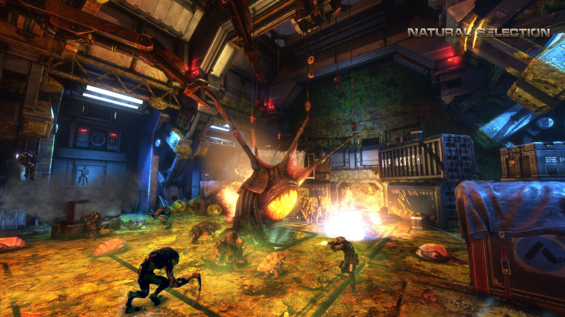 Screenshot for Natural Selection 2