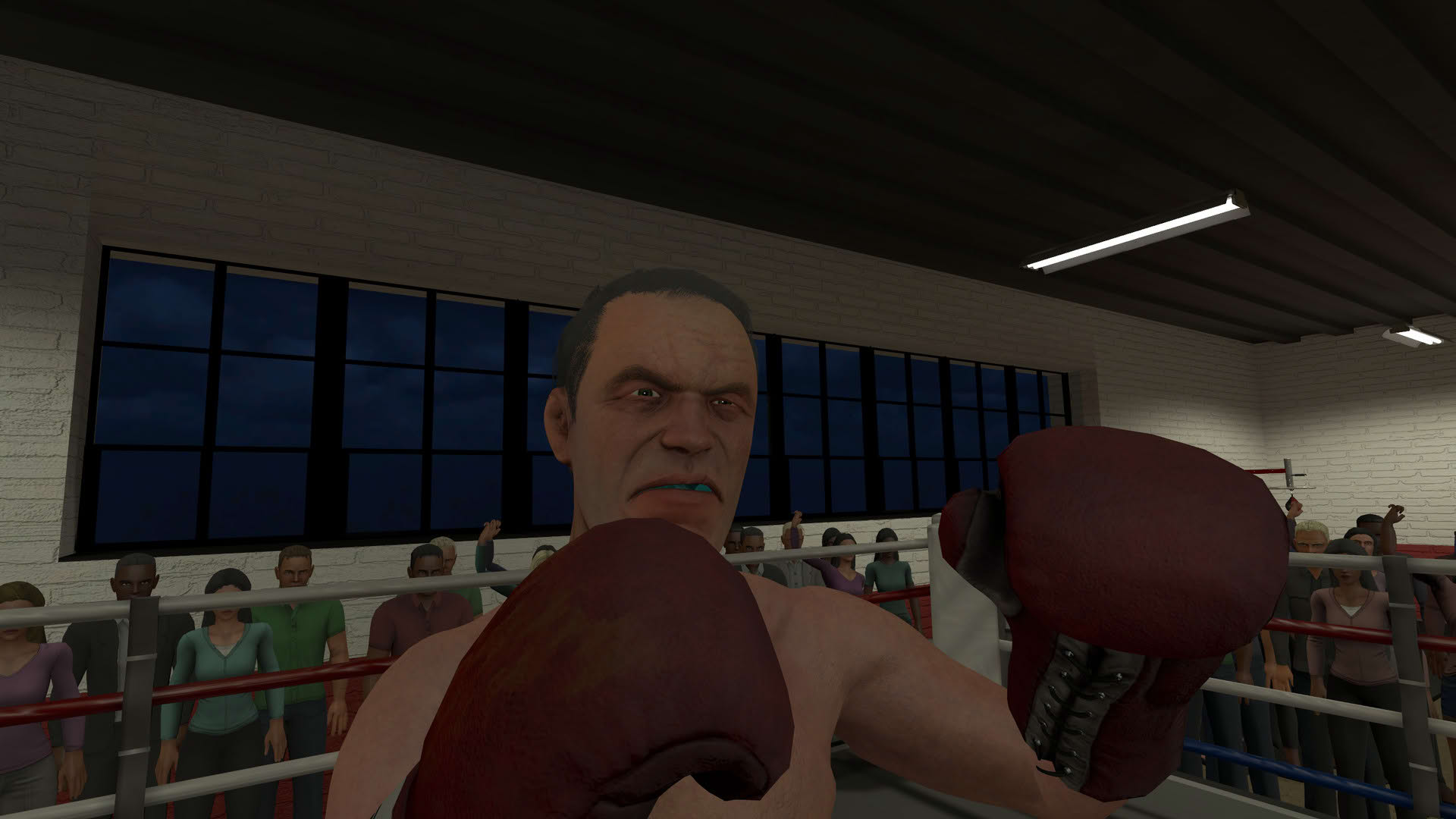 Screenshot for The Thrill of the Fight